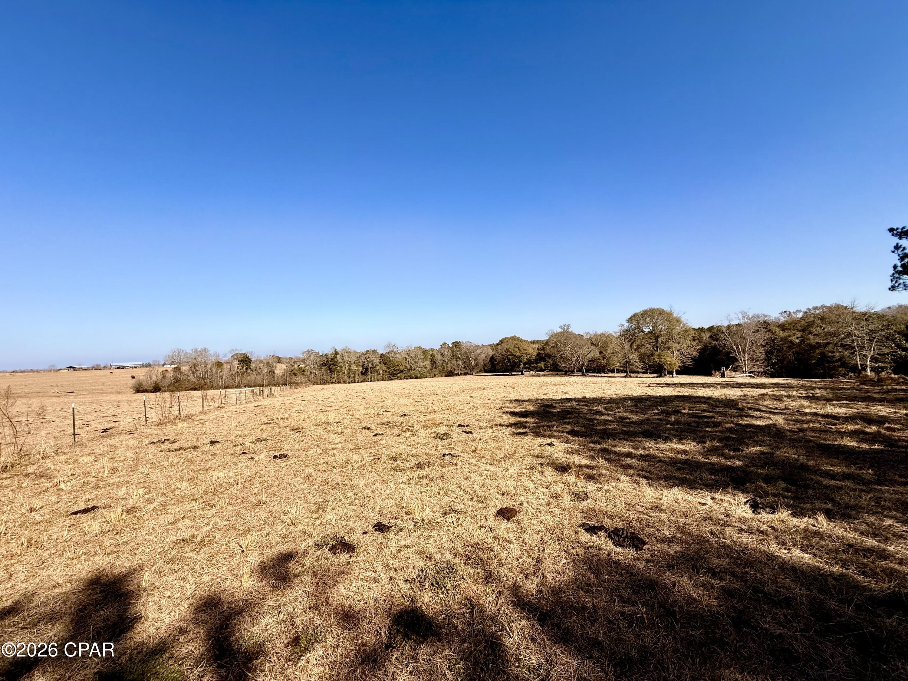 Listing photo id 8 for 0 Hwy 2a  