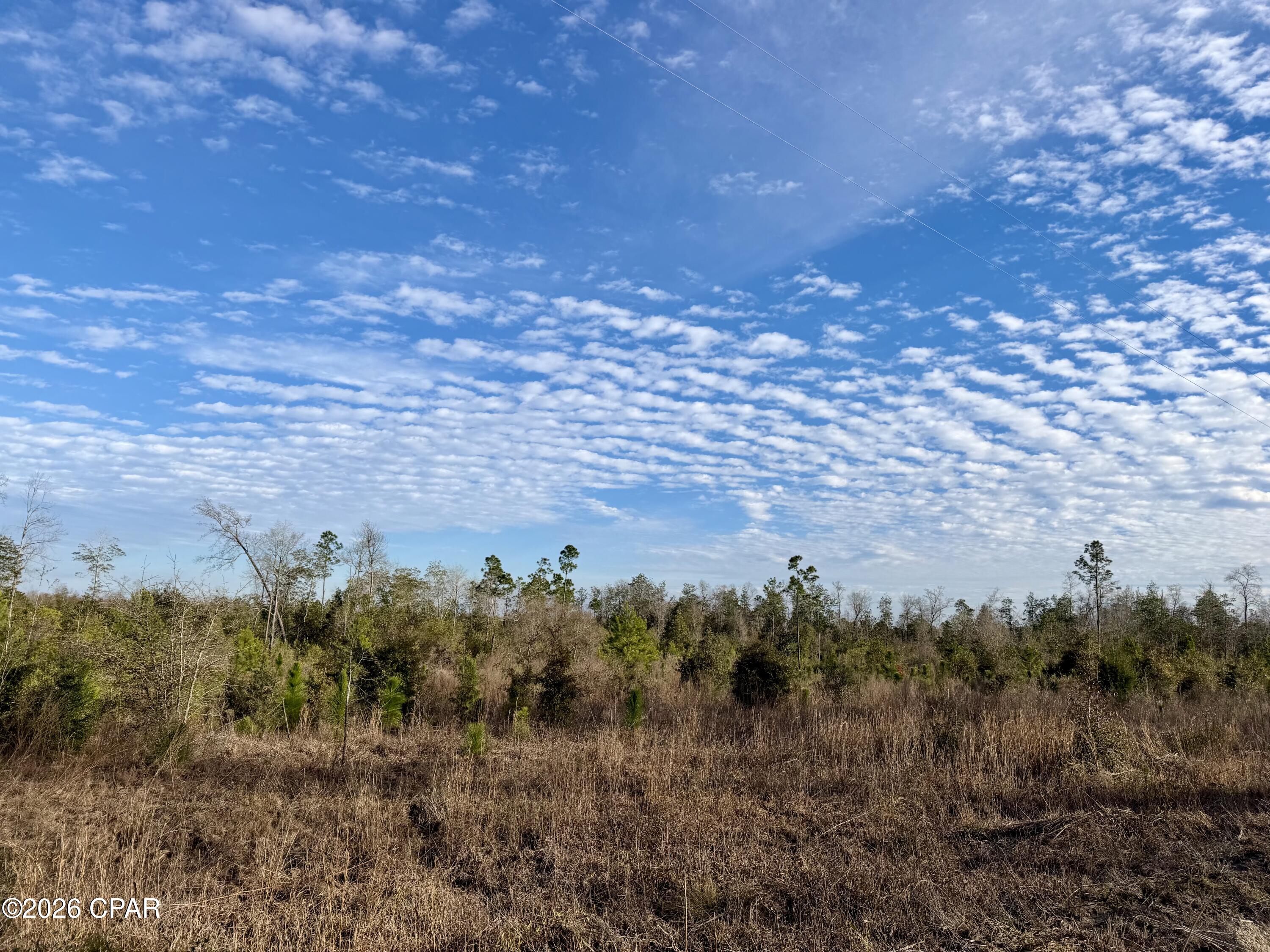 Details for 25 Acres Davenport Road, Marianna, FL 32448
