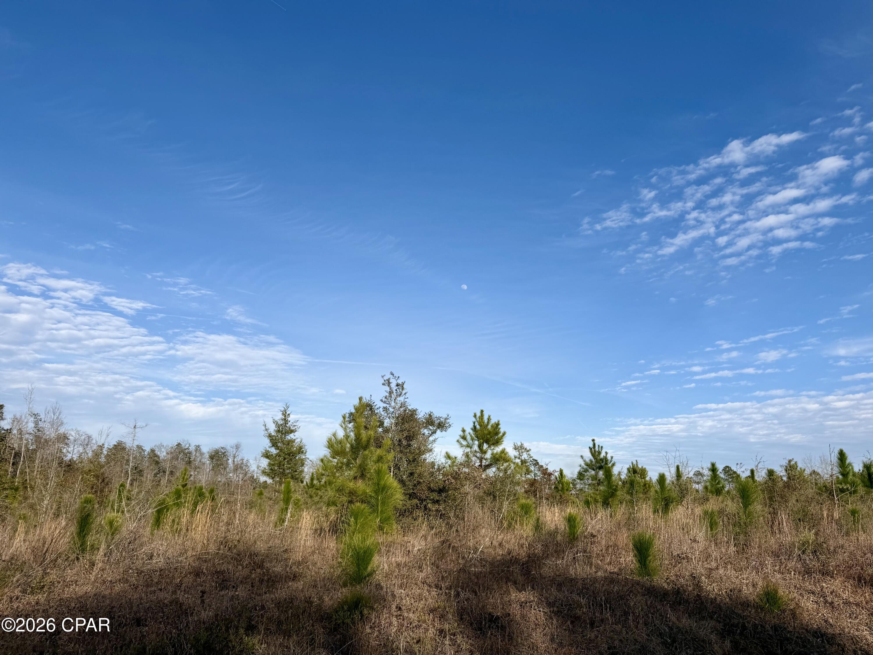 3rd image of 25 Acres Davenport Rd, Marianna, FL 32448 | MLS# 784743