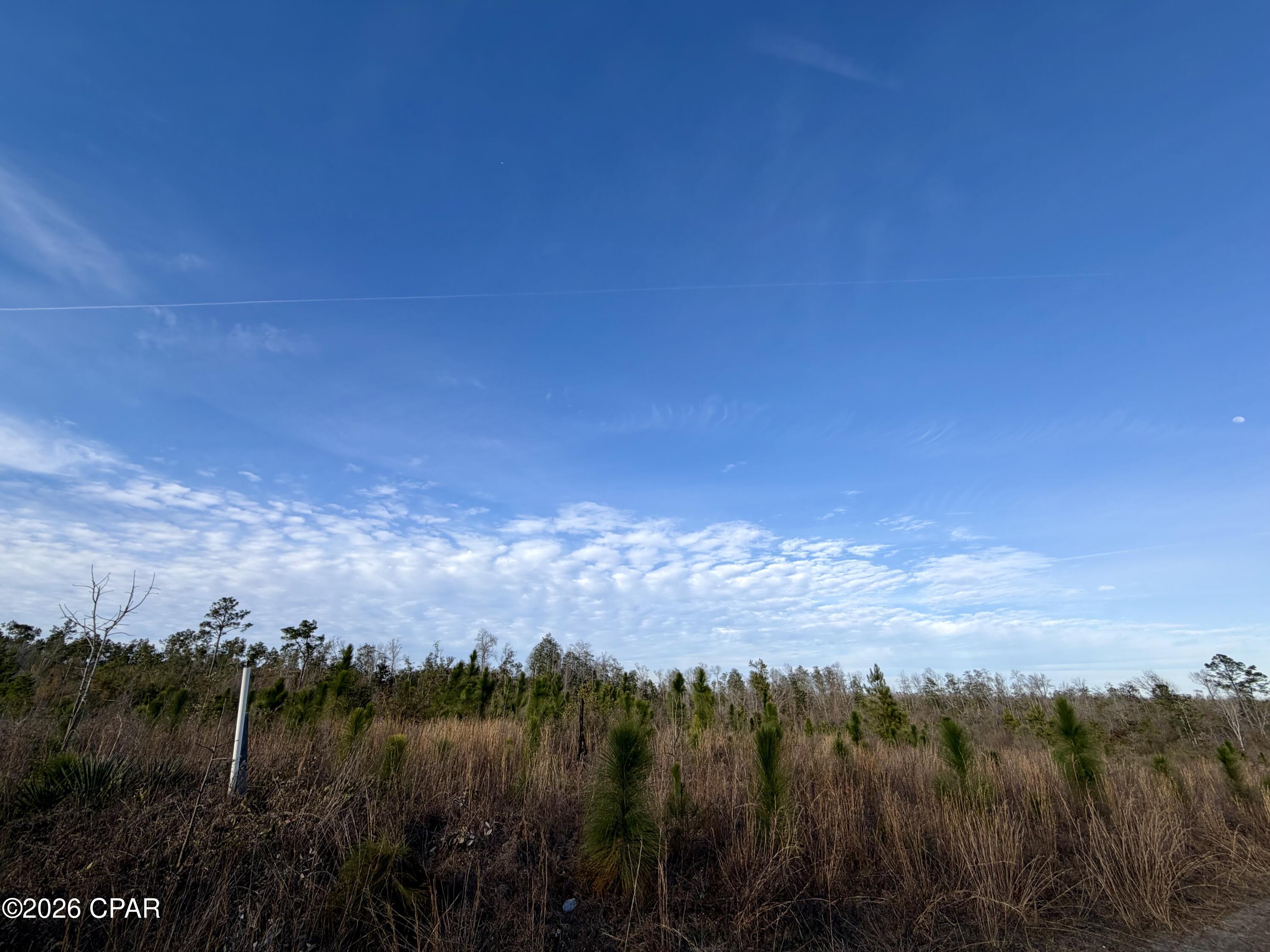 4th image of 25 Acres Davenport Rd, Marianna, FL 32448 | MLS# 784743