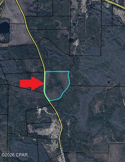 5th image of 25 Acres Davenport Rd, Marianna, FL 32448 | MLS# 784743