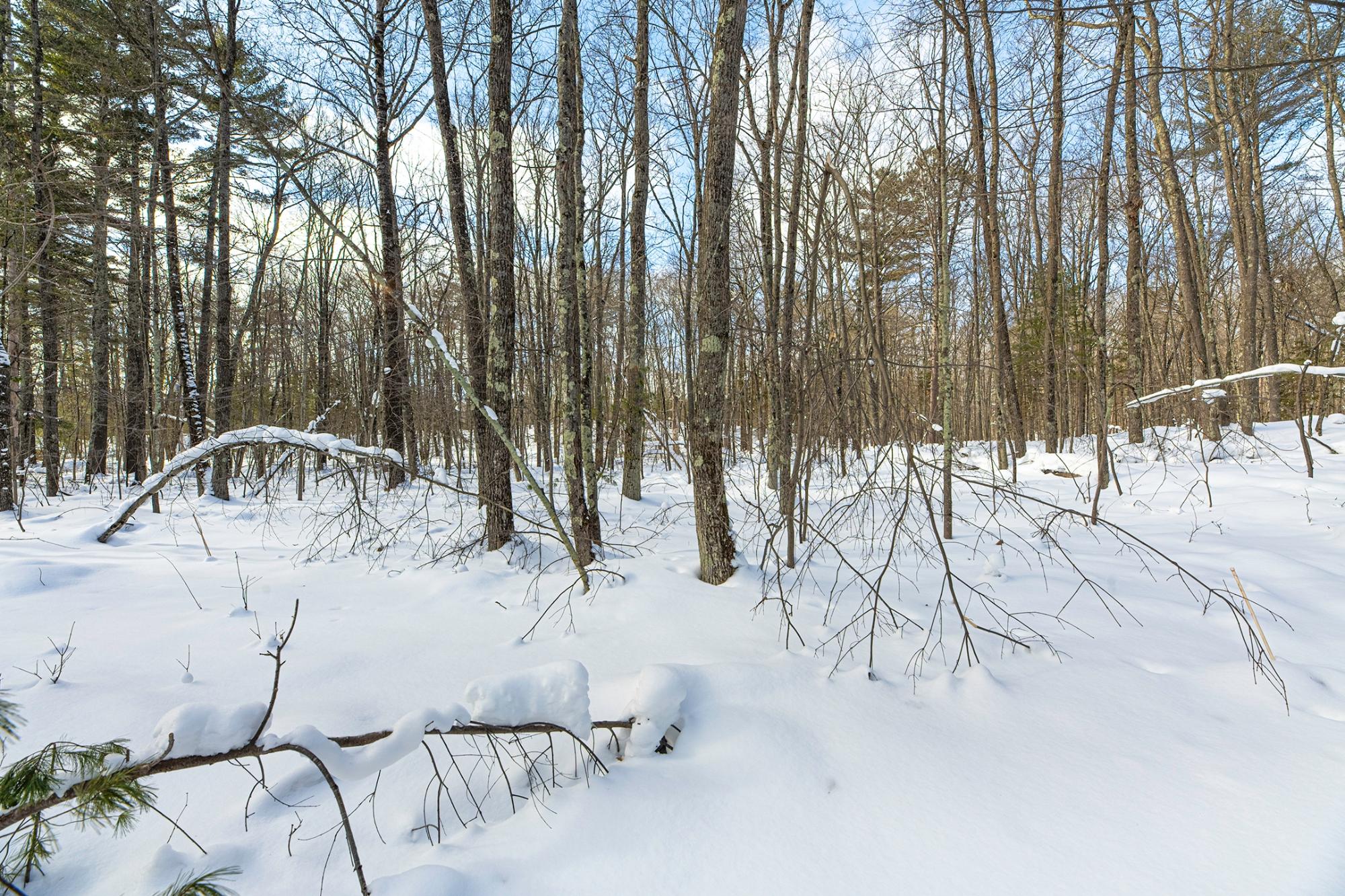 Undocumented Lake Property 14295 Little Ten Ln Photo 46