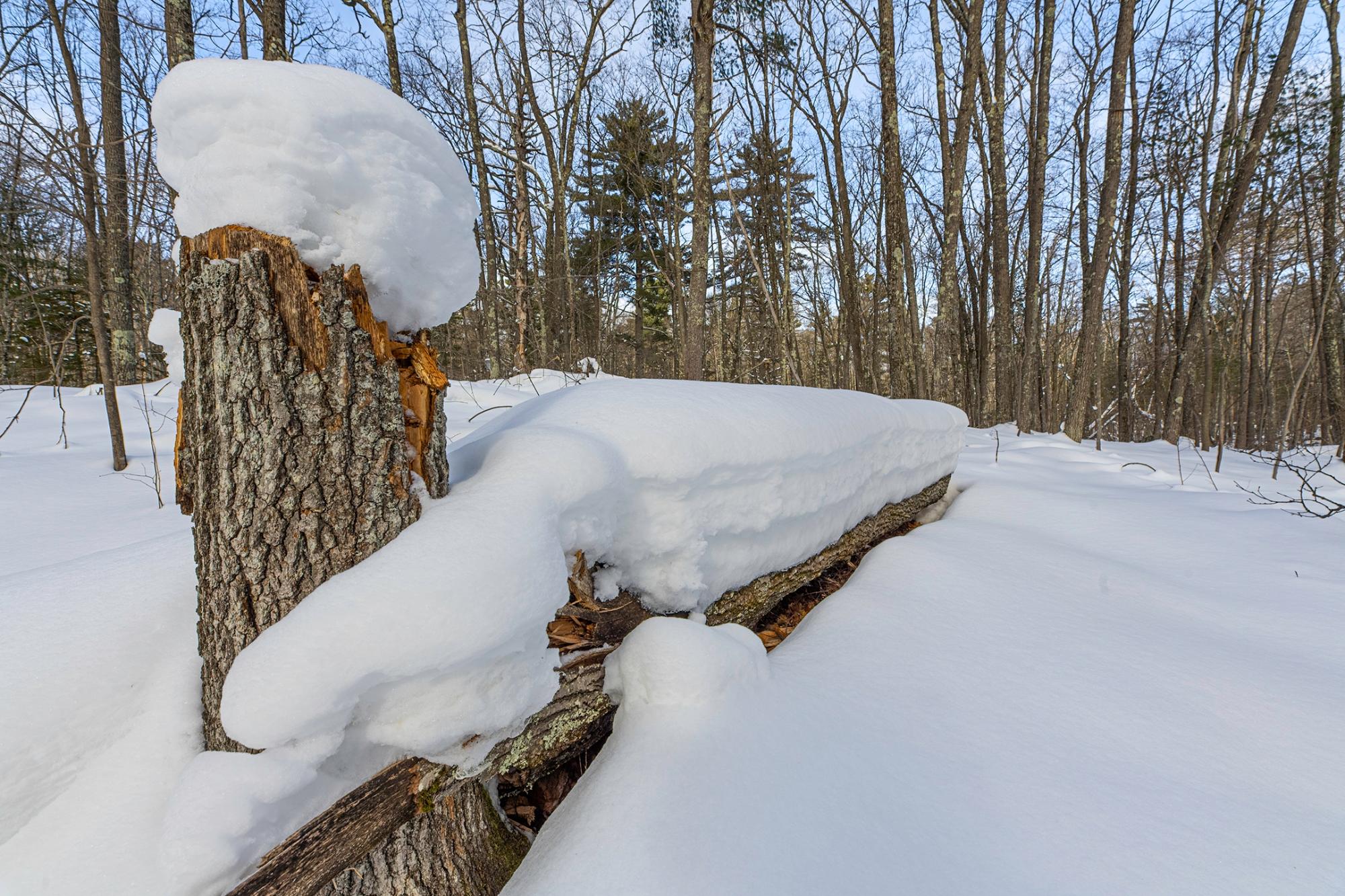Undocumented Lake Property 14295 Little Ten Ln Photo 47