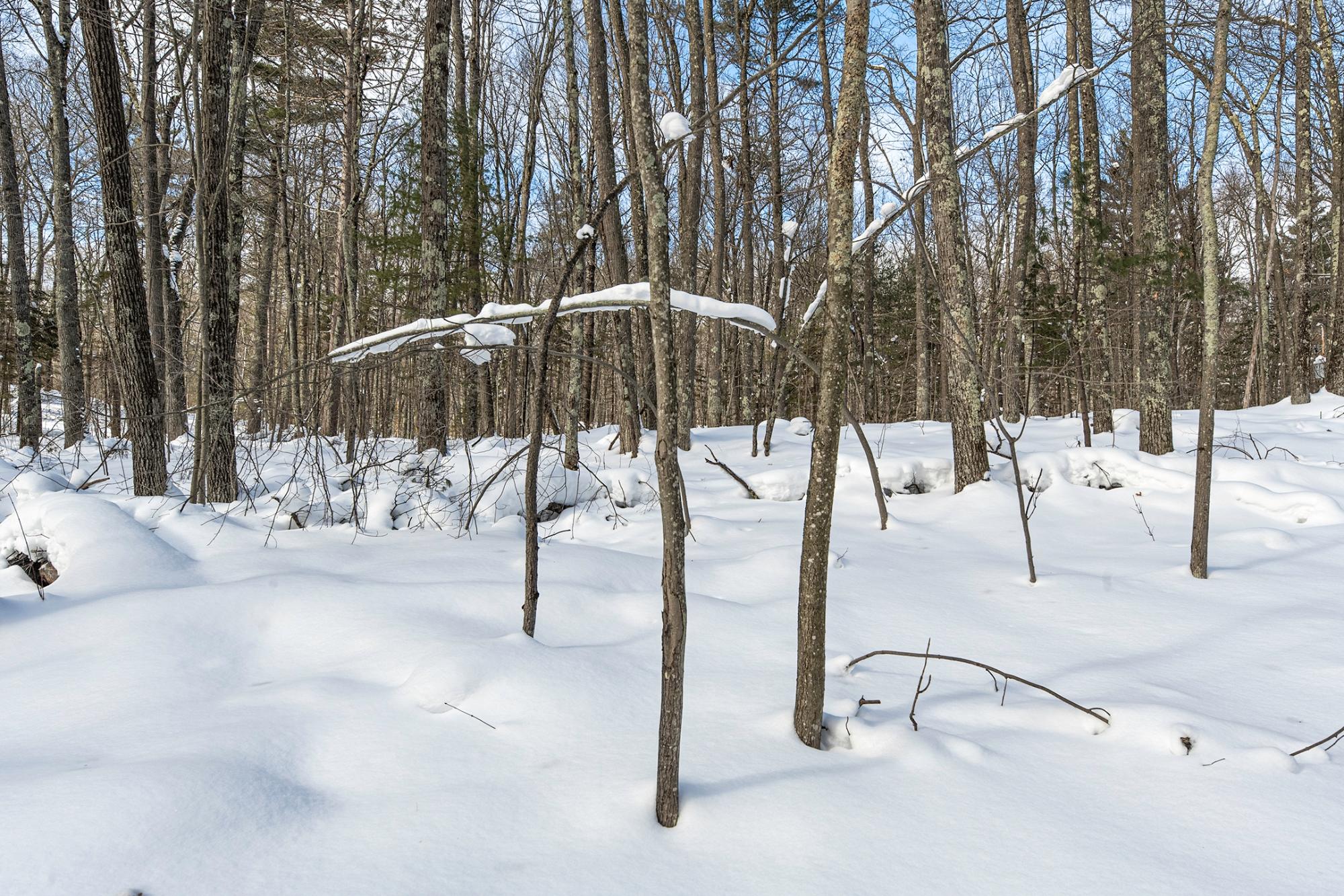 Undocumented Lake Property 14295 Little Ten Ln Photo 48