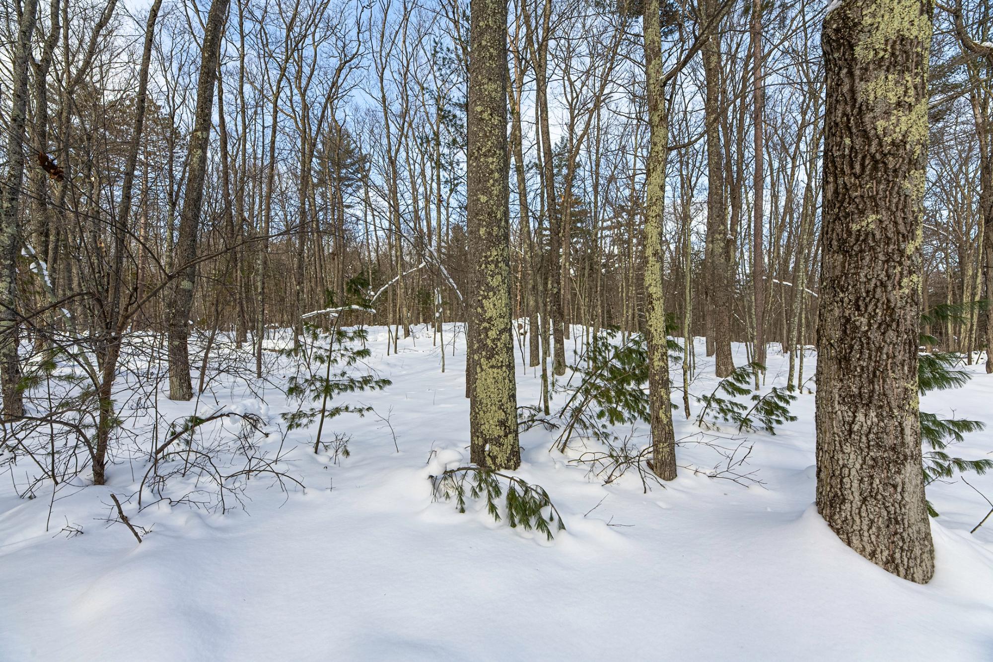 Undocumented Lake Property 14295 Little Ten Ln Photo 50