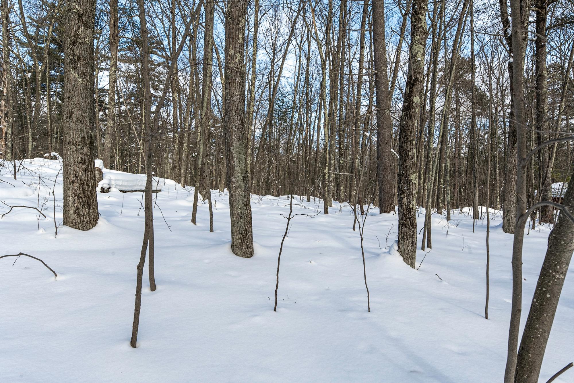 Undocumented Lake Property 14295 Little Ten Ln Photo 54