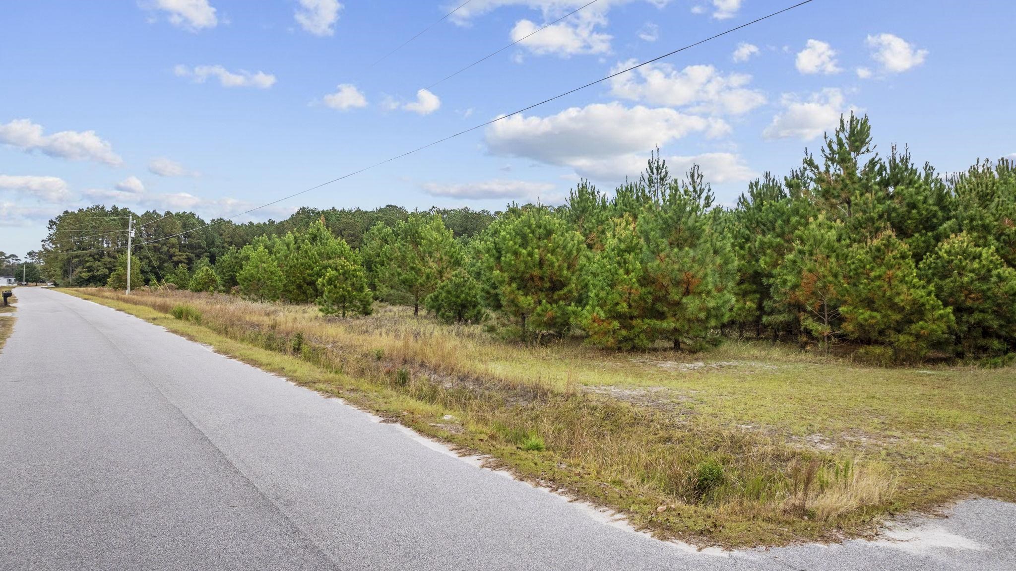 2603193 | Photo 14