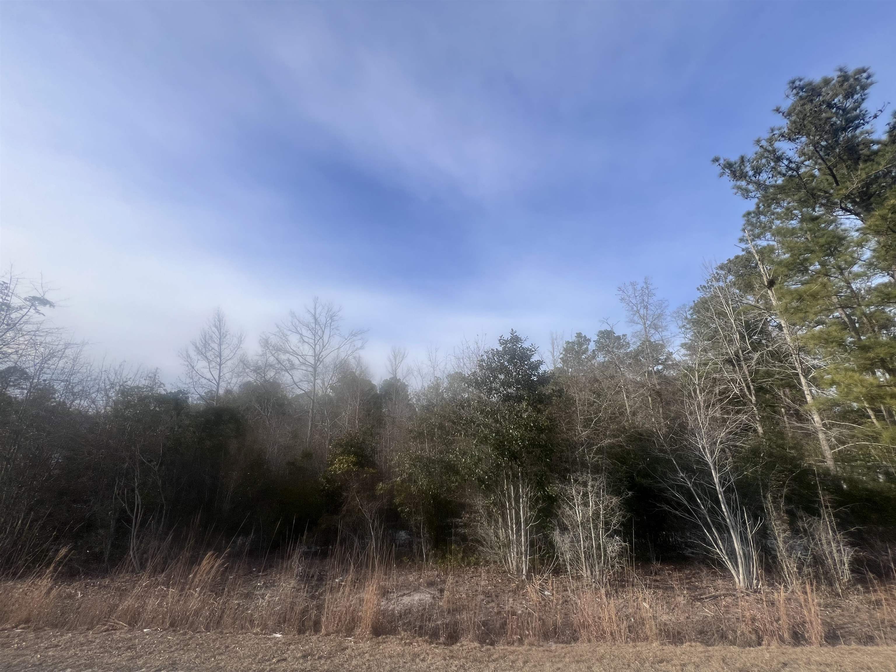 Homes for sale in Marion, SC | Tbd Retired Ave, Marion, SC 29571 | MLS# 2603207