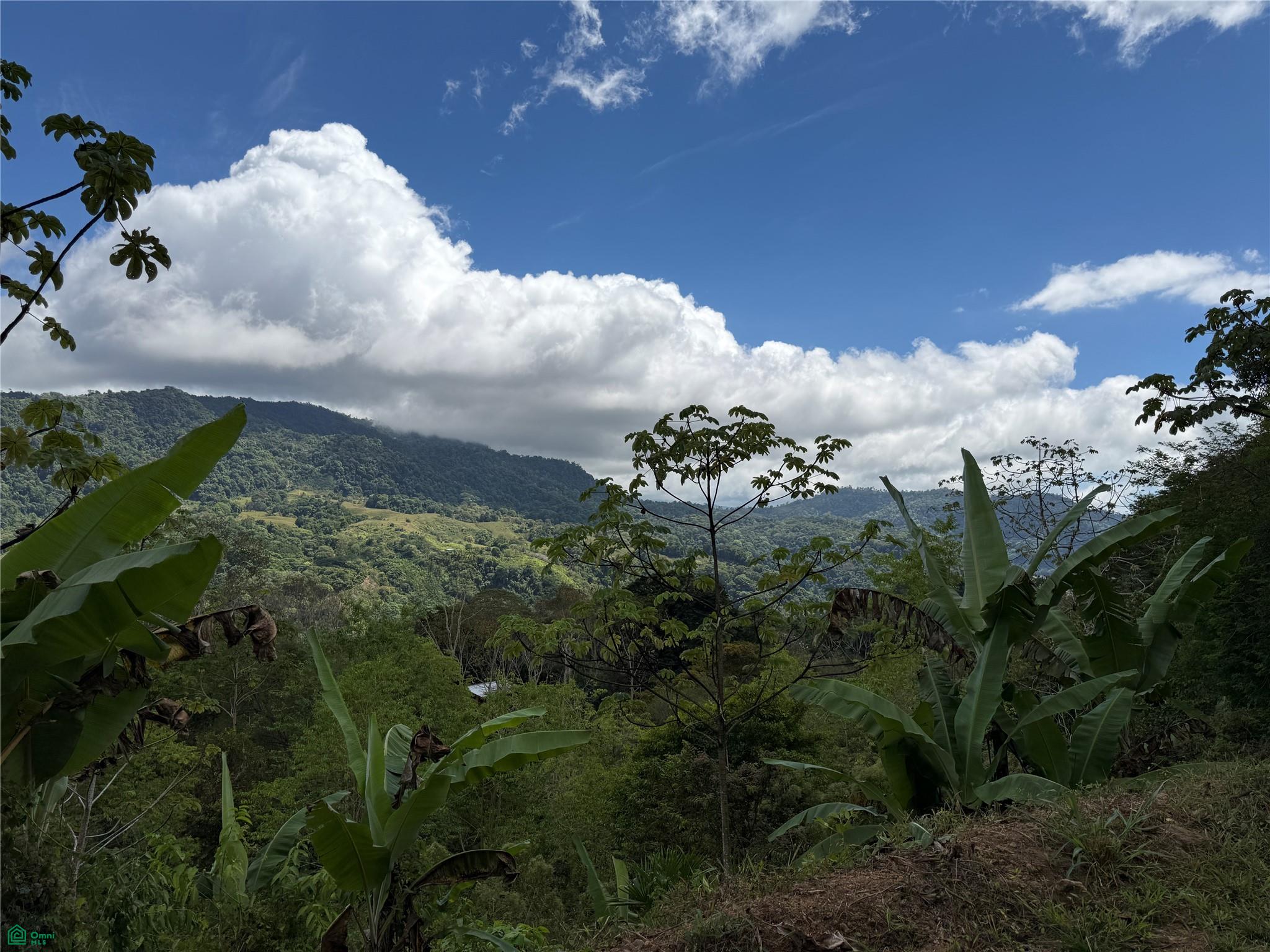  bed Land For Sale in Perez Zeledon, San Jose - 1