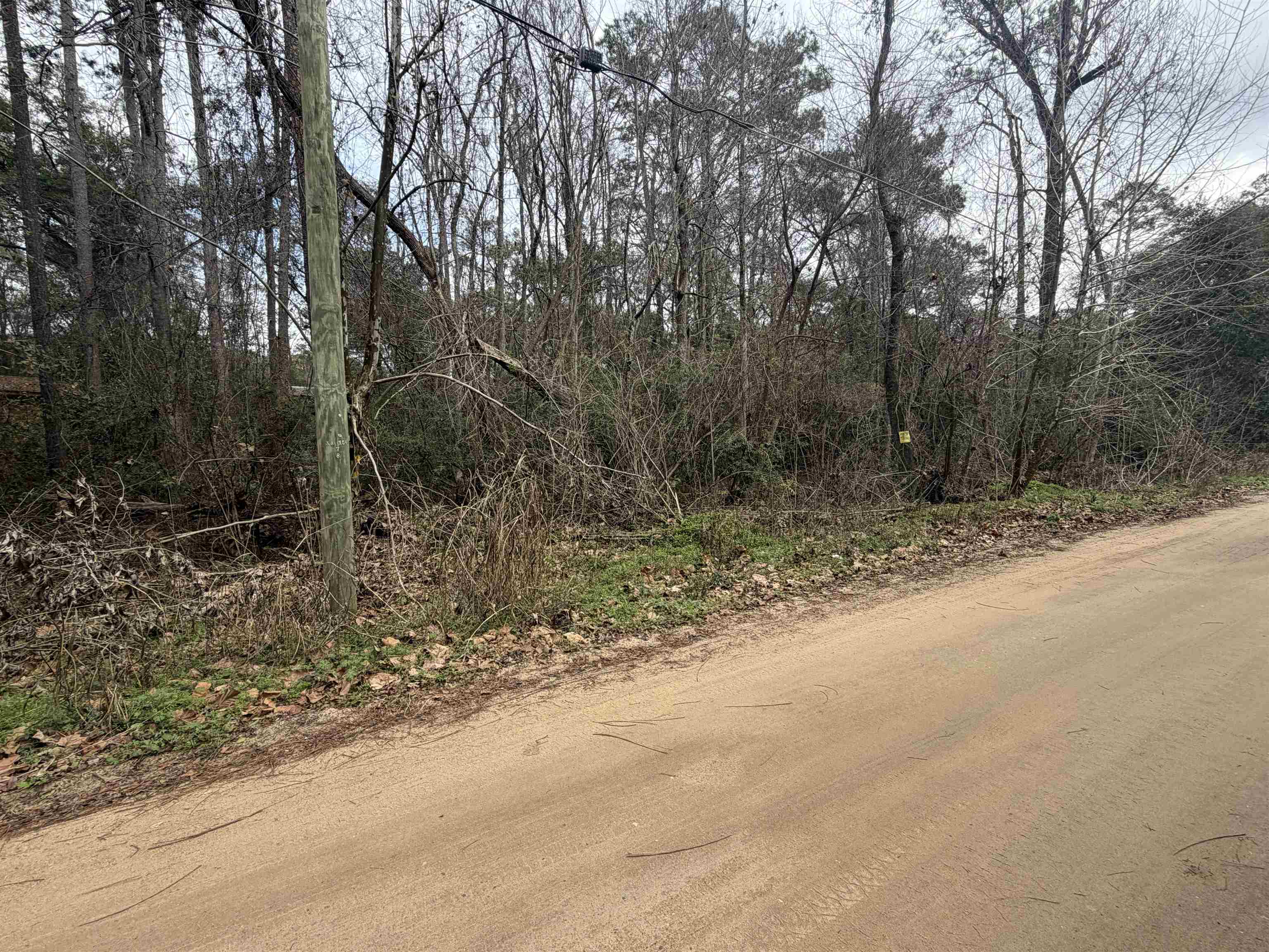 XX  Baby Farm Drive , Tallahassee, FL, 32310