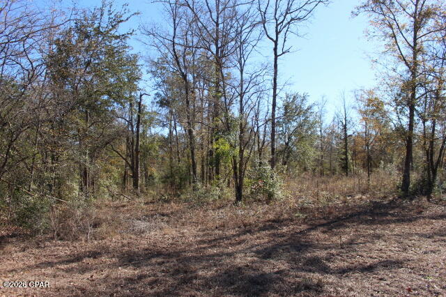 Image 20 For 6297 Americus Road