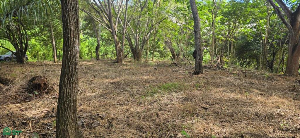 0 bed Land For Sale in Esparza, Puntarenas - 1