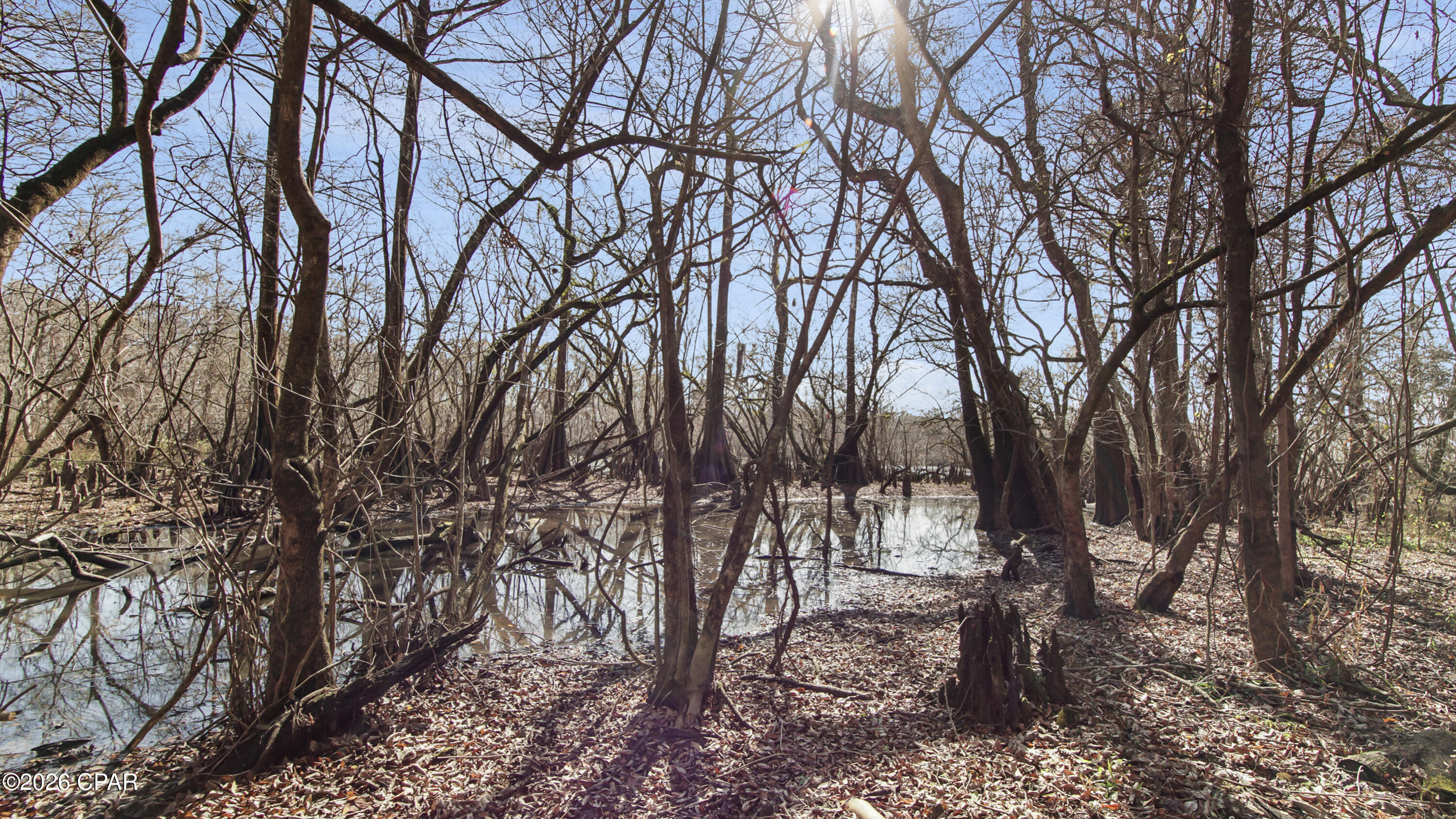 Image 36 For 92 Howell Bluff Road