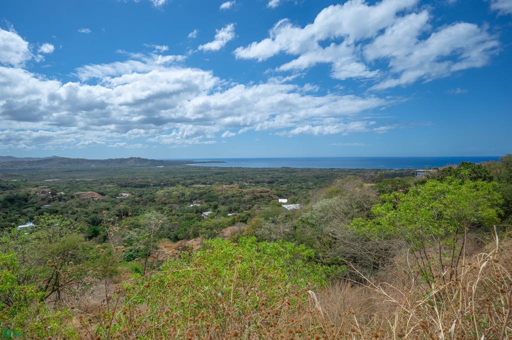  bed Land For Sale in Santa Cruz, Guanacaste - 1