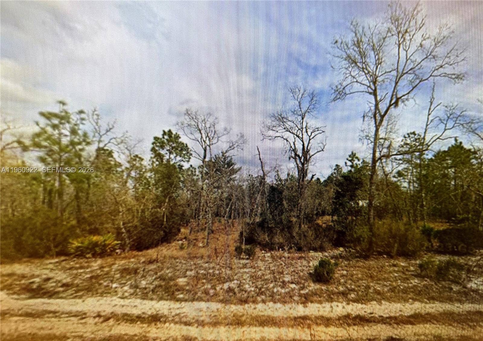 Interlachen Lakes Ests