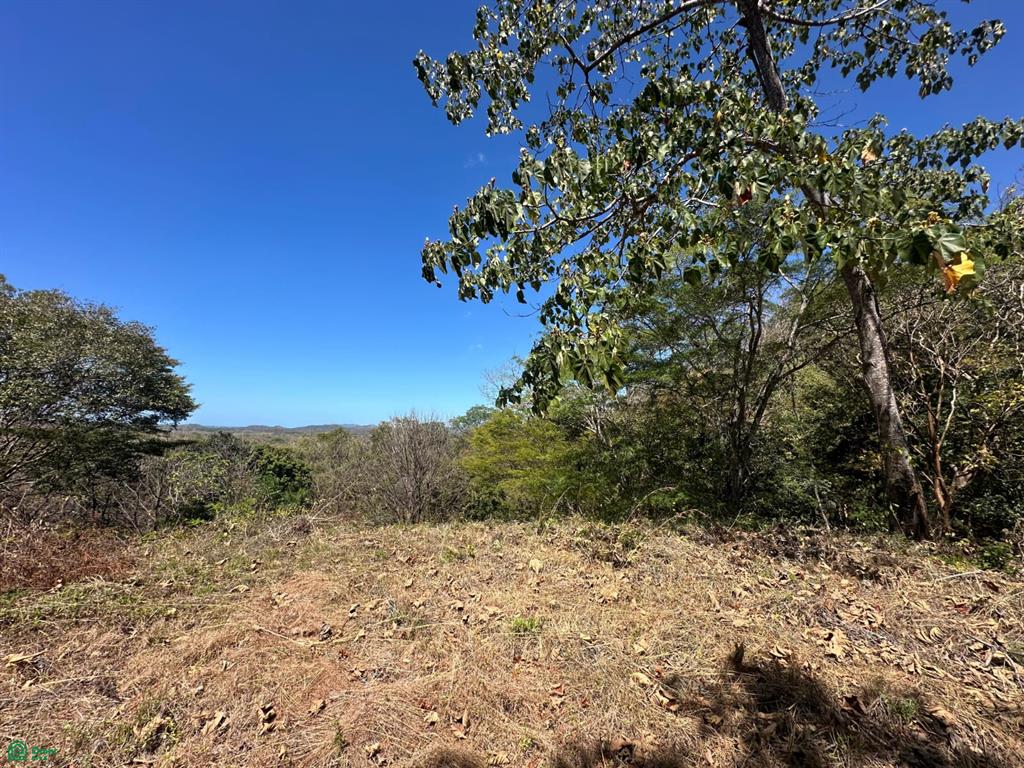  bed Land For Sale in Santa Cruz, Guanacaste - 1
