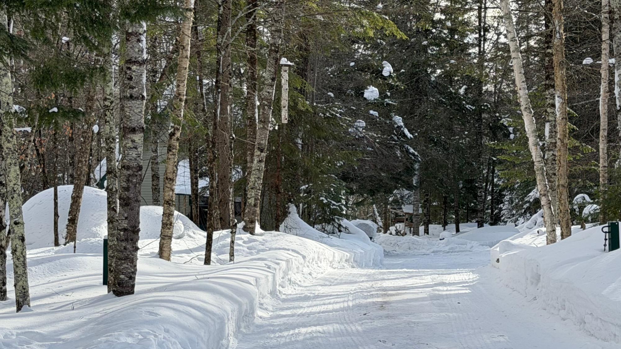 Turtle Flambeau Flowage Property 3933N Kimmear Rd Photo 49