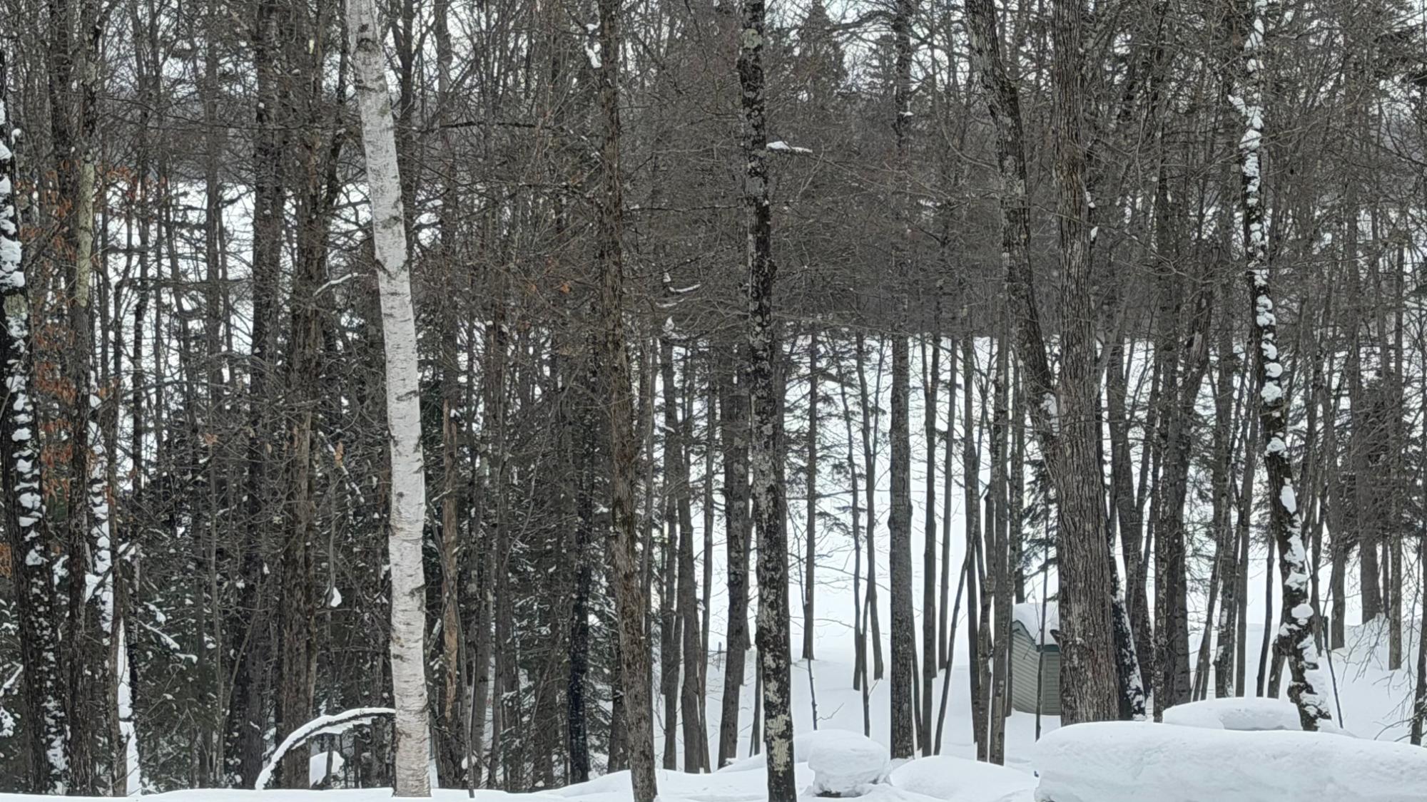 Turtle Flambeau Flowage Property 3933N Kimmear Rd Photo 50