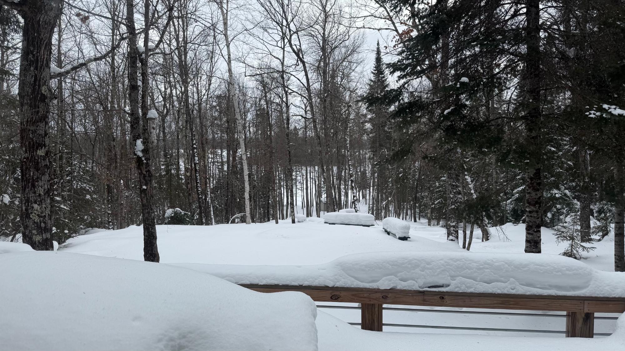 Turtle Flambeau Flowage Property 3933N Kimmear Rd Photo 51