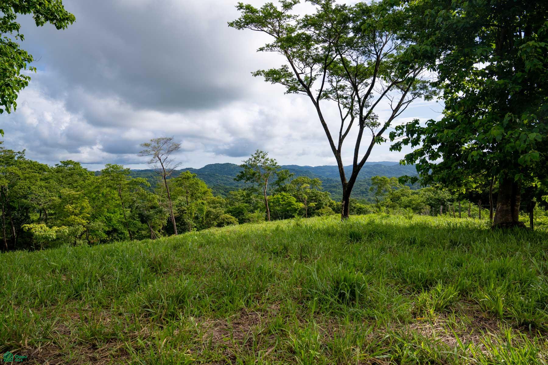 bed Land For Sale in Santa Cruz, Guanacaste - 1