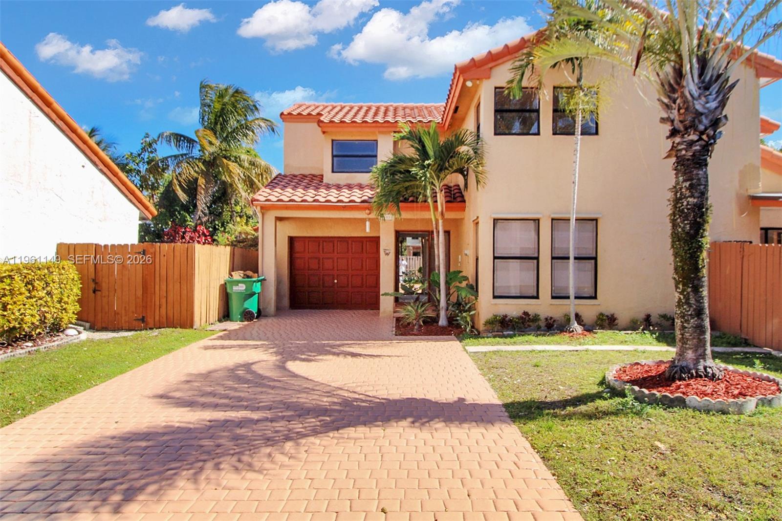 Live Oak Of The Hammocks