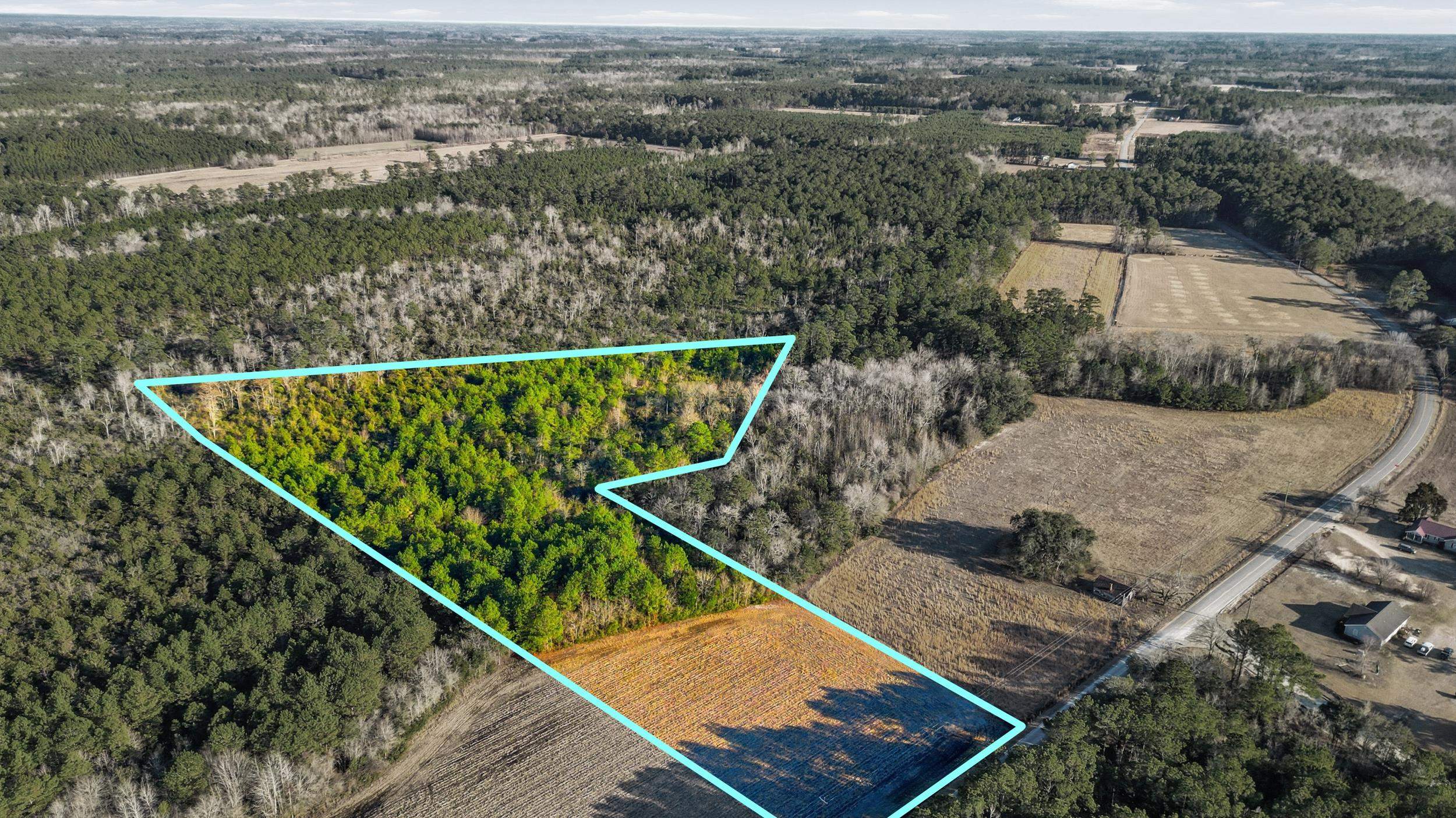 TBD Black Creek Rd. Nichols, SC 29581