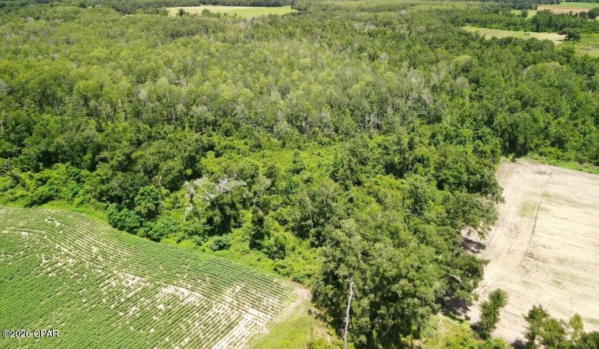 Image 2 For 0 Peanut Road