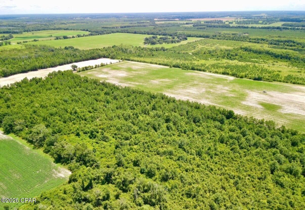 Image 3 For 0 Peanut Road