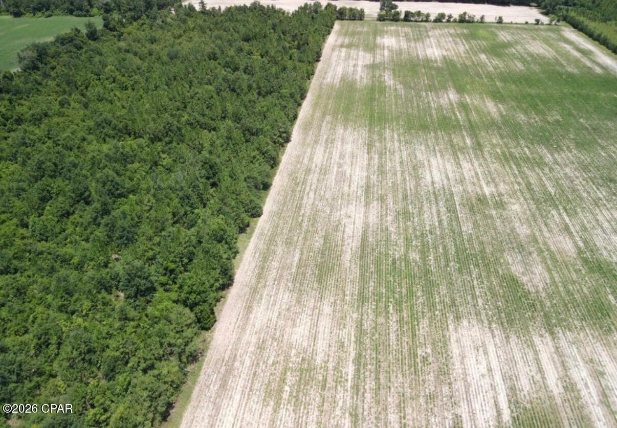 Image 4 For 0 Peanut Road