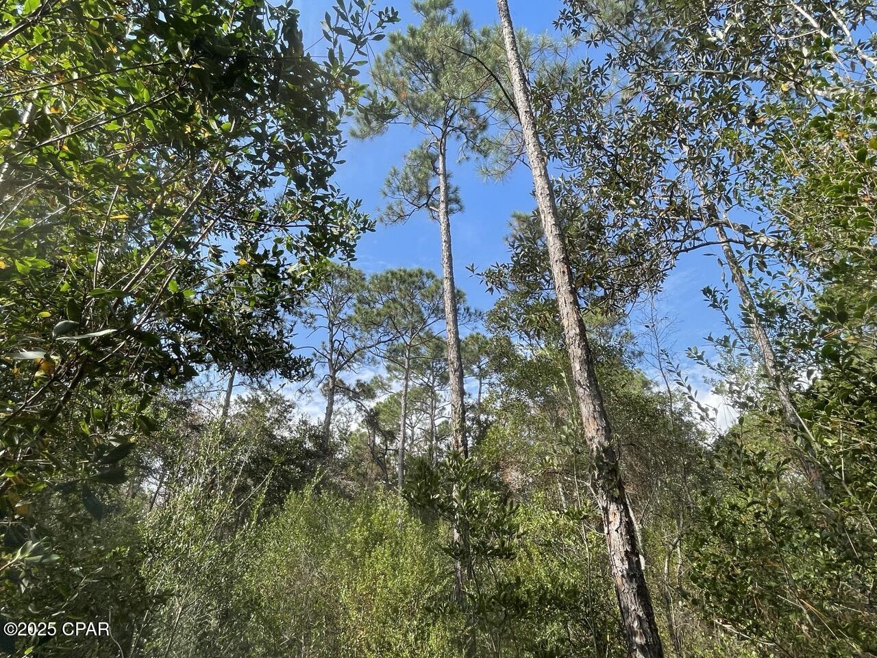 Details for 0000 Lavon Road, Milton, FL 32583