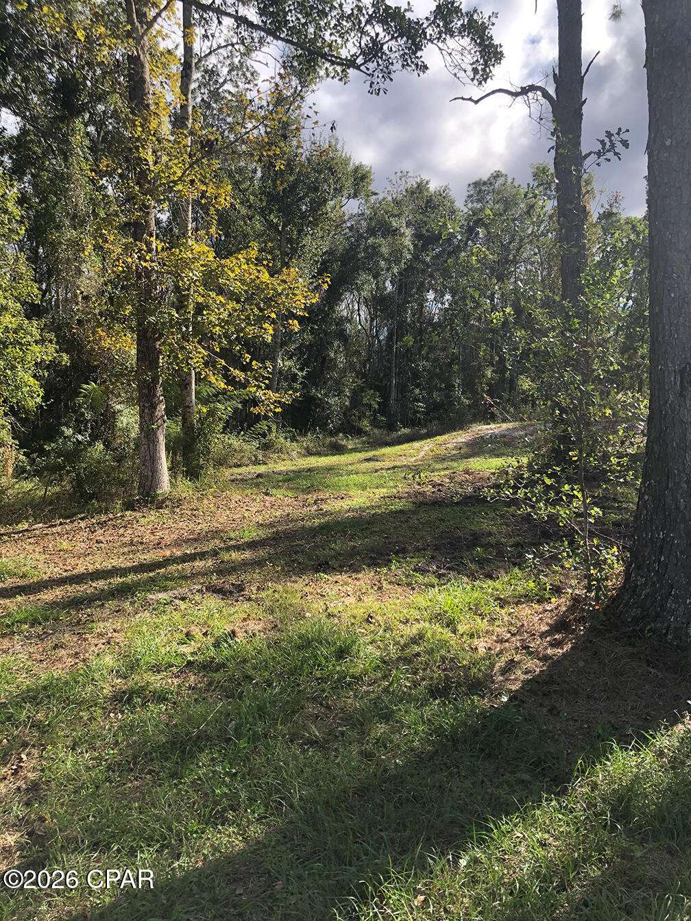 Details for 7322 Max Fleming Road, Wewahitchka, FL 32465