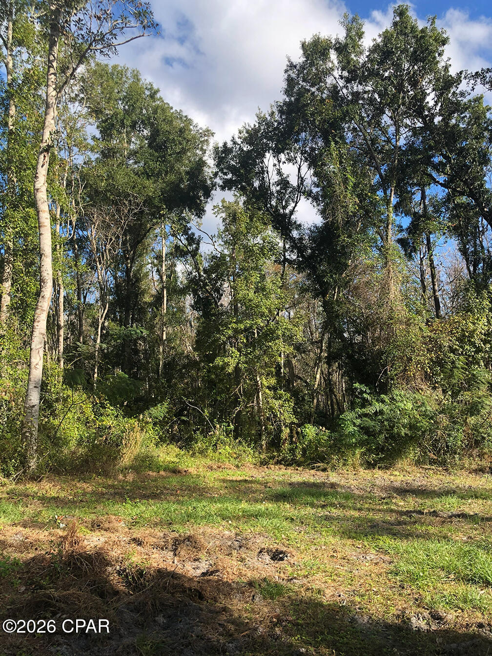 Image 7 For 7322 Max Fleming Road