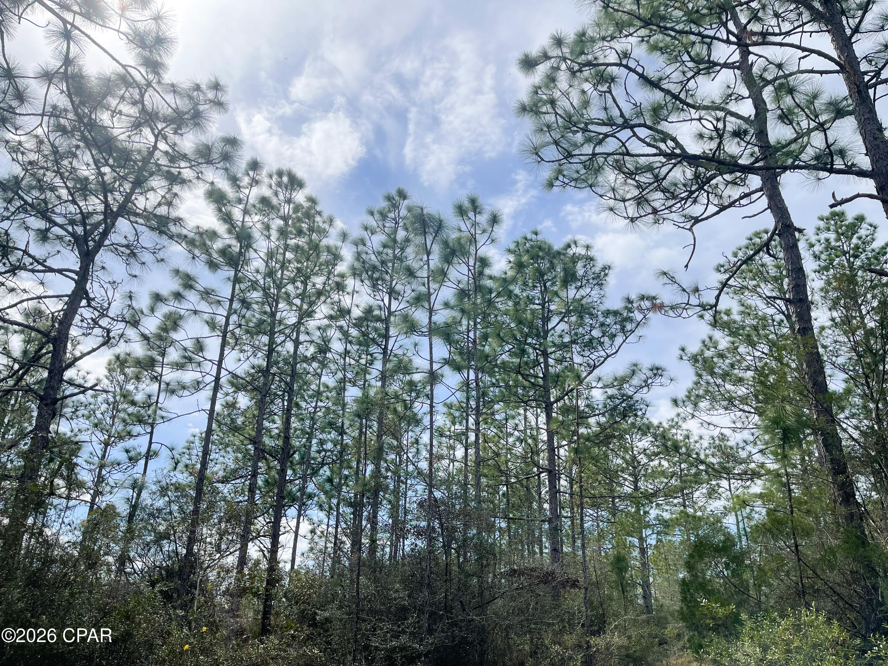 Details for 3340 Varsey Lane, Marianna, FL 32448