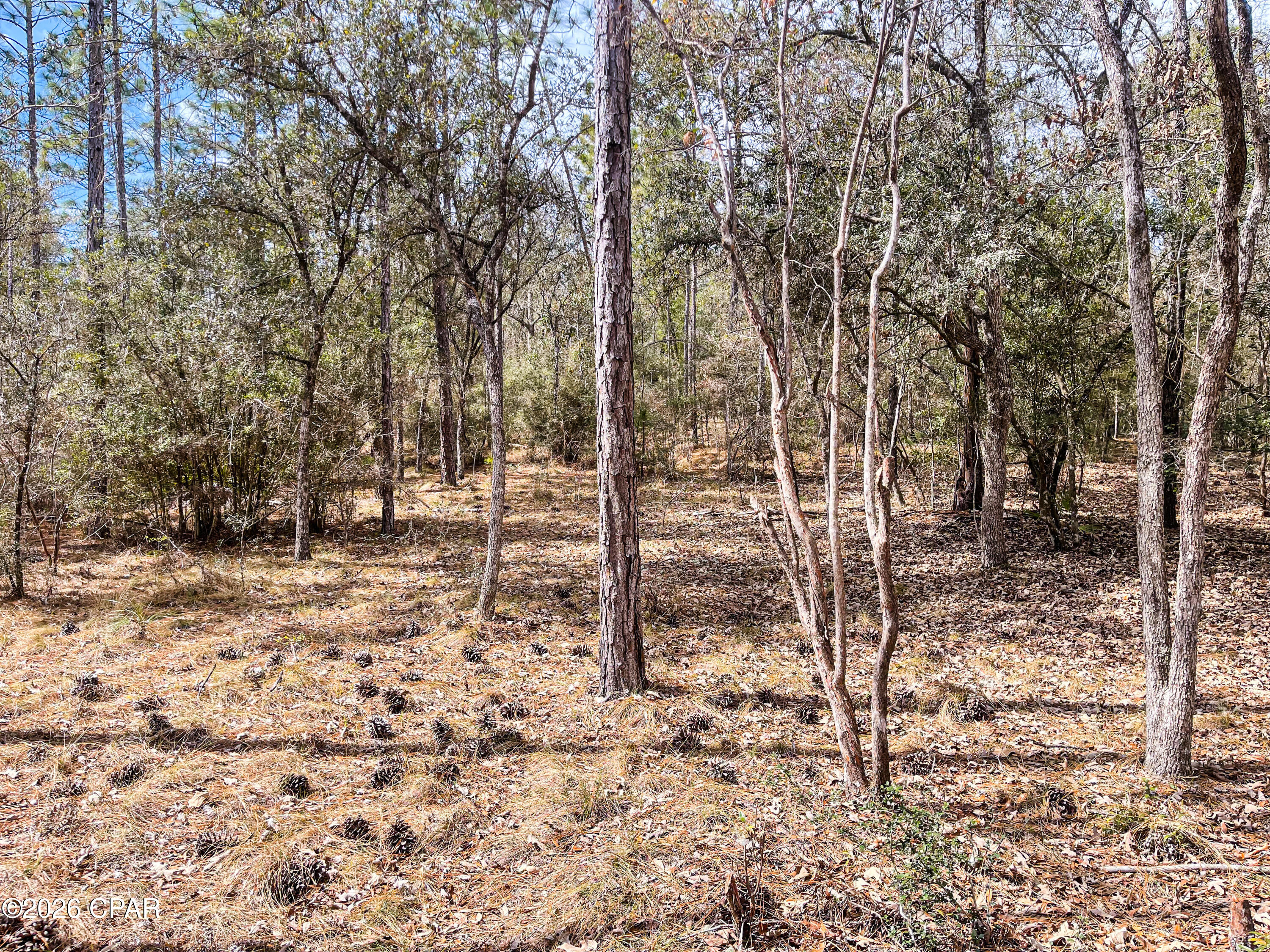 Image 10 For 3340 Varsey Lane