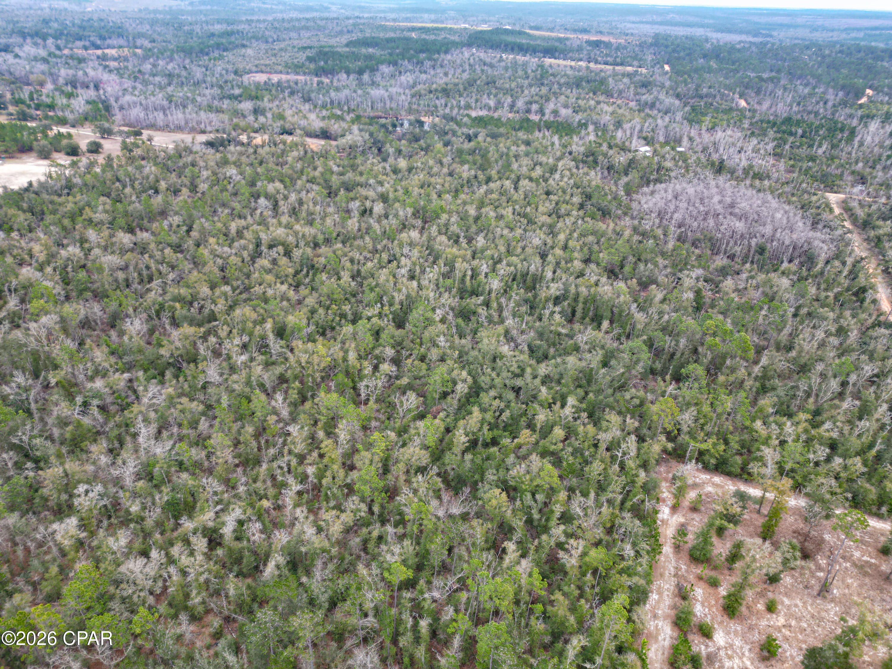 Image 2 For 3340 Varsey Lane