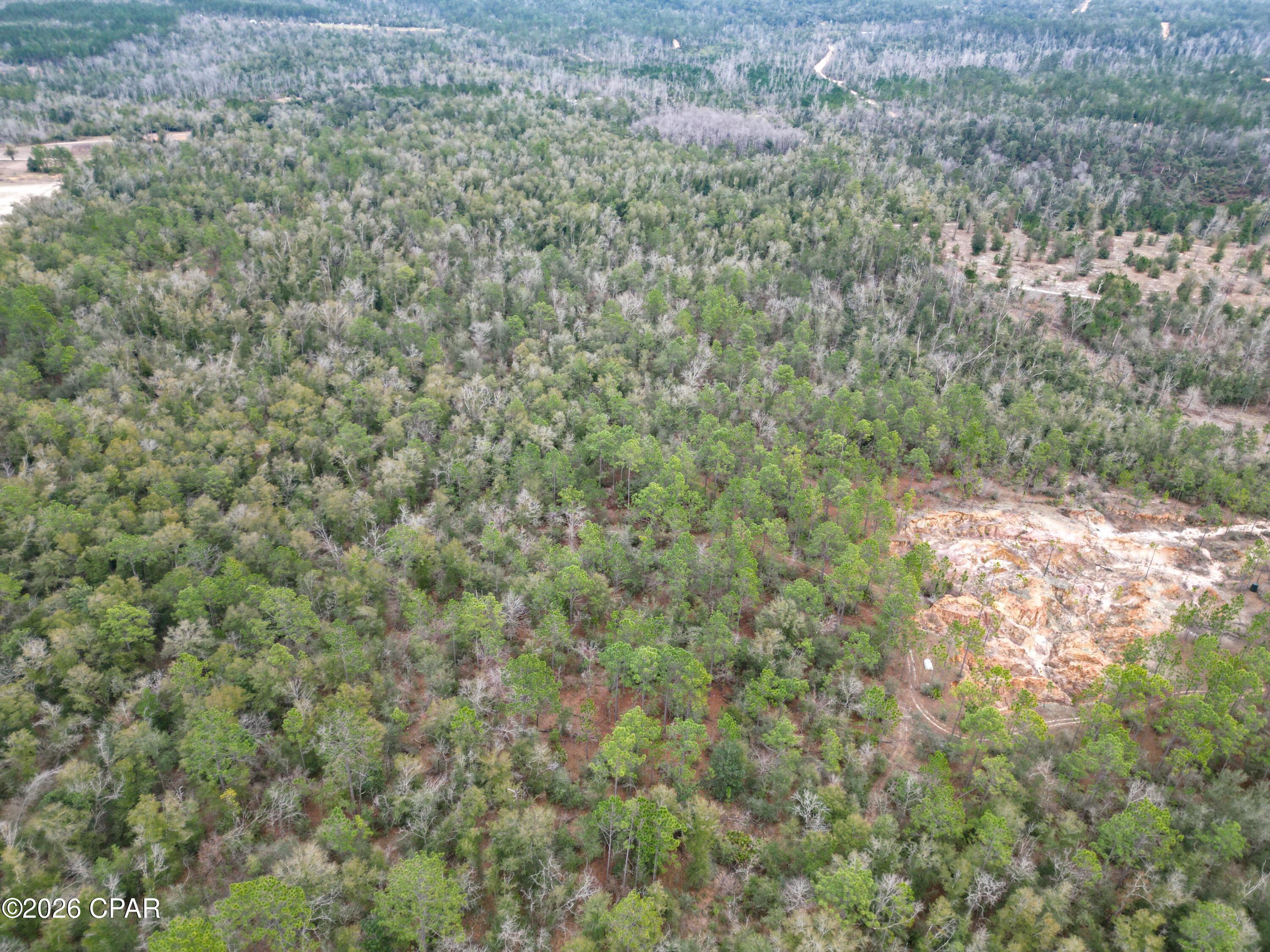 Image 4 For 3340 Varsey Lane