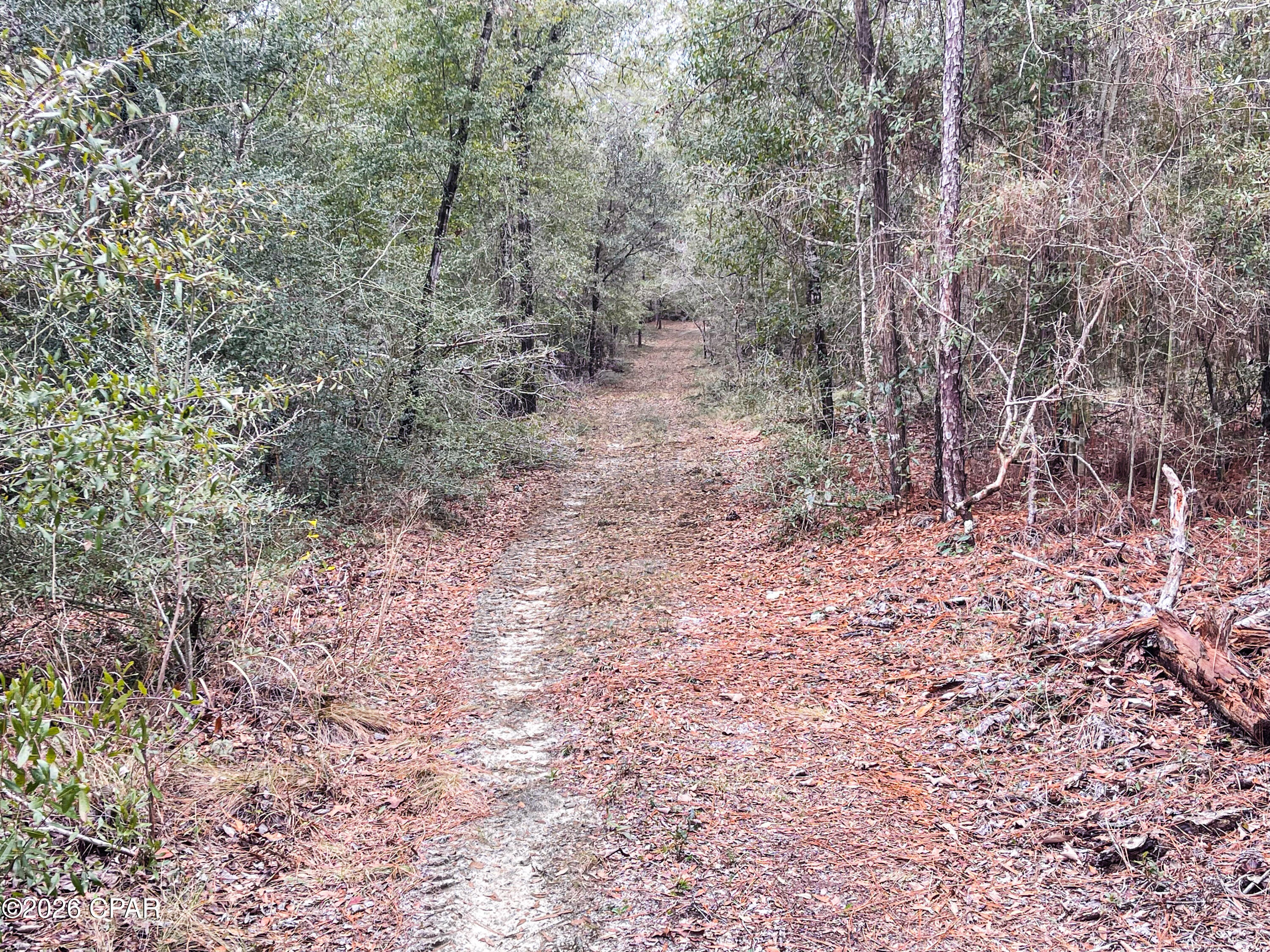 Image 7 For 3340 Varsey Lane