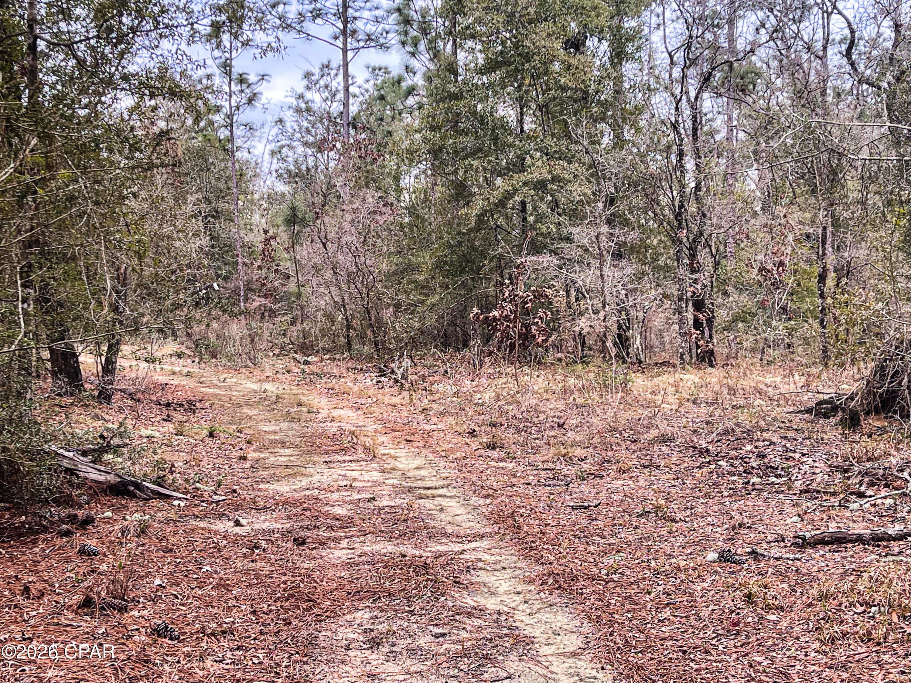 Image 8 For 3340 Varsey Lane