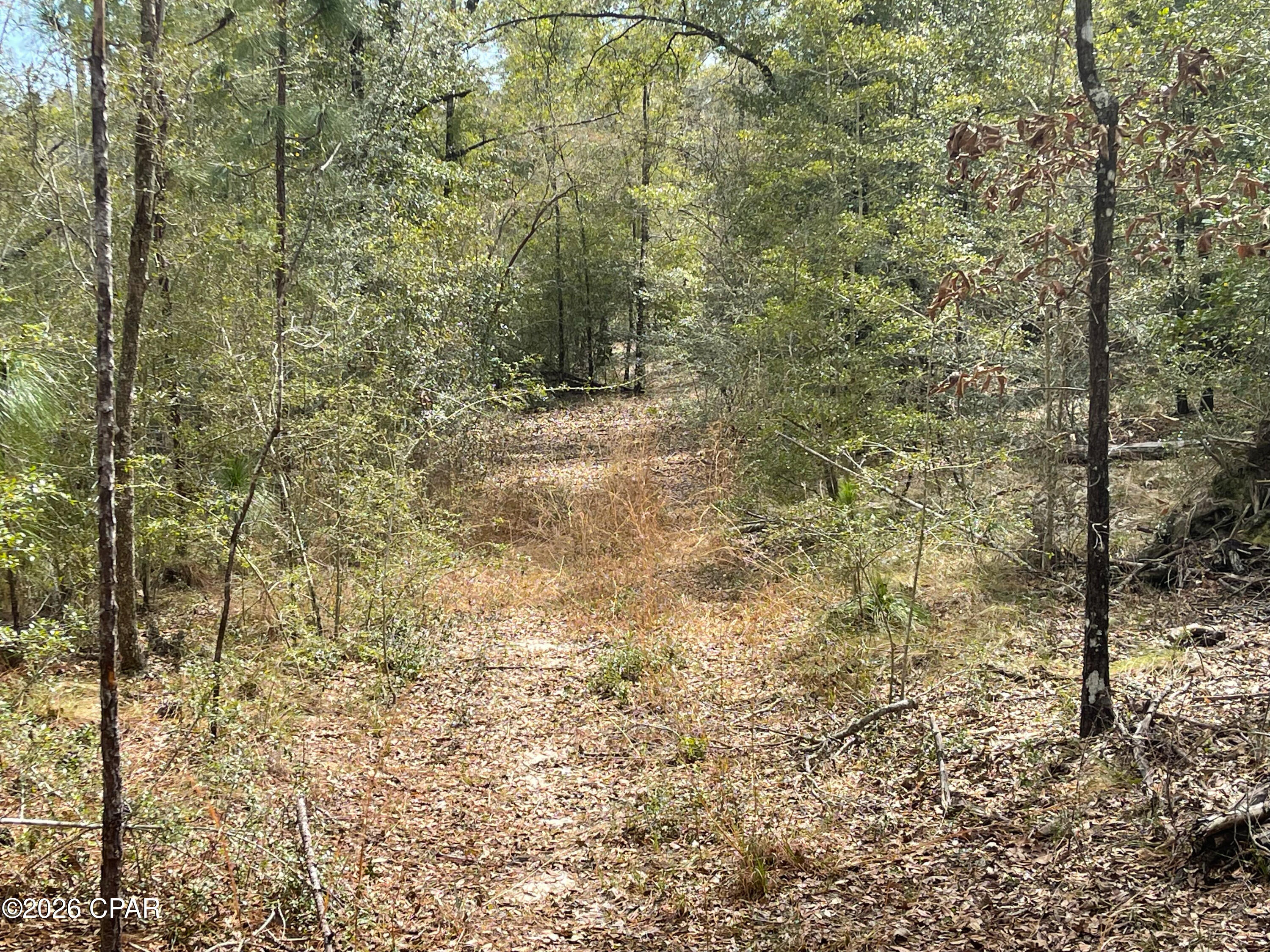 Image 9 For 3340 Varsey Lane