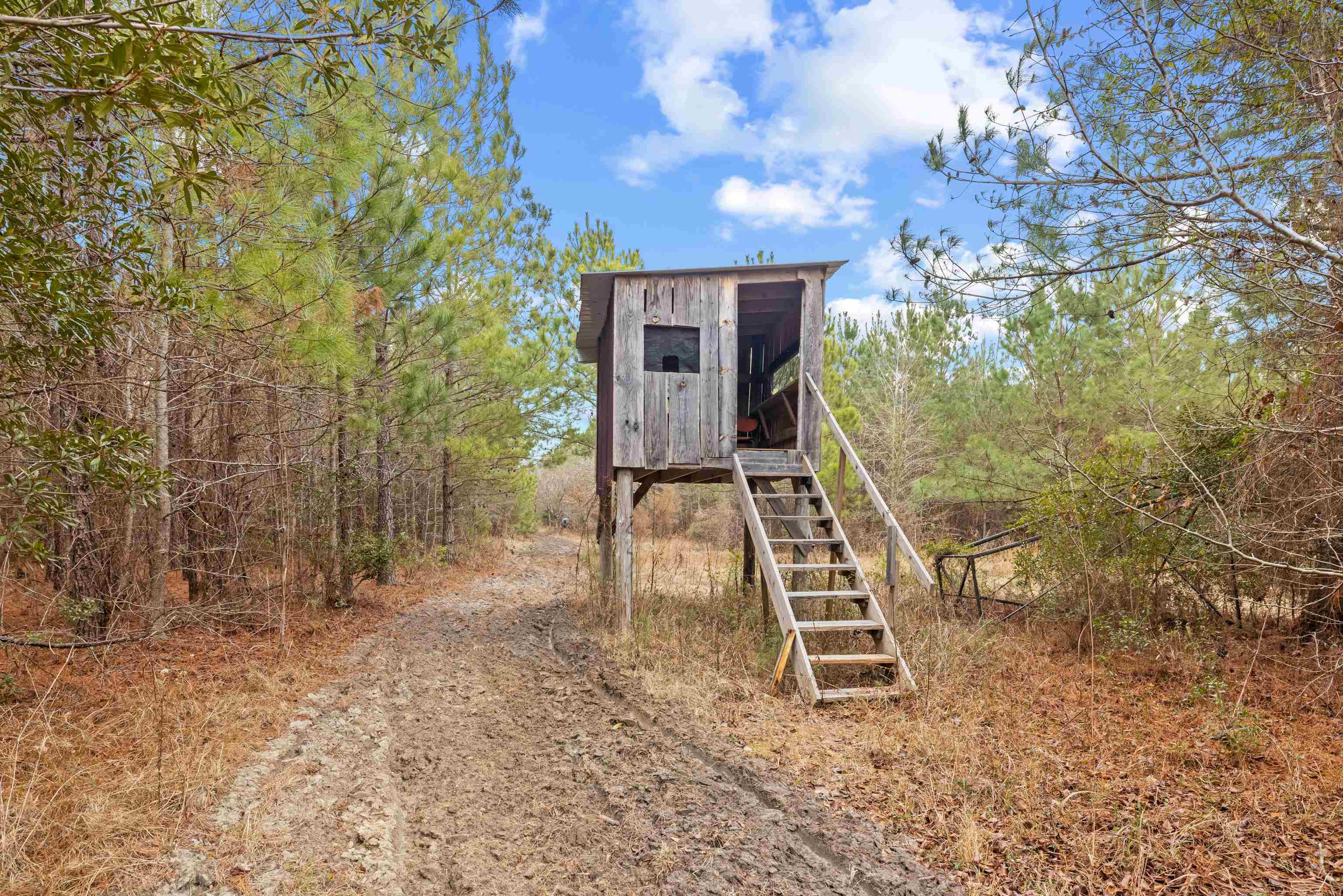 TBD 183 Ac Blakely Rd. Salters, SC 29590