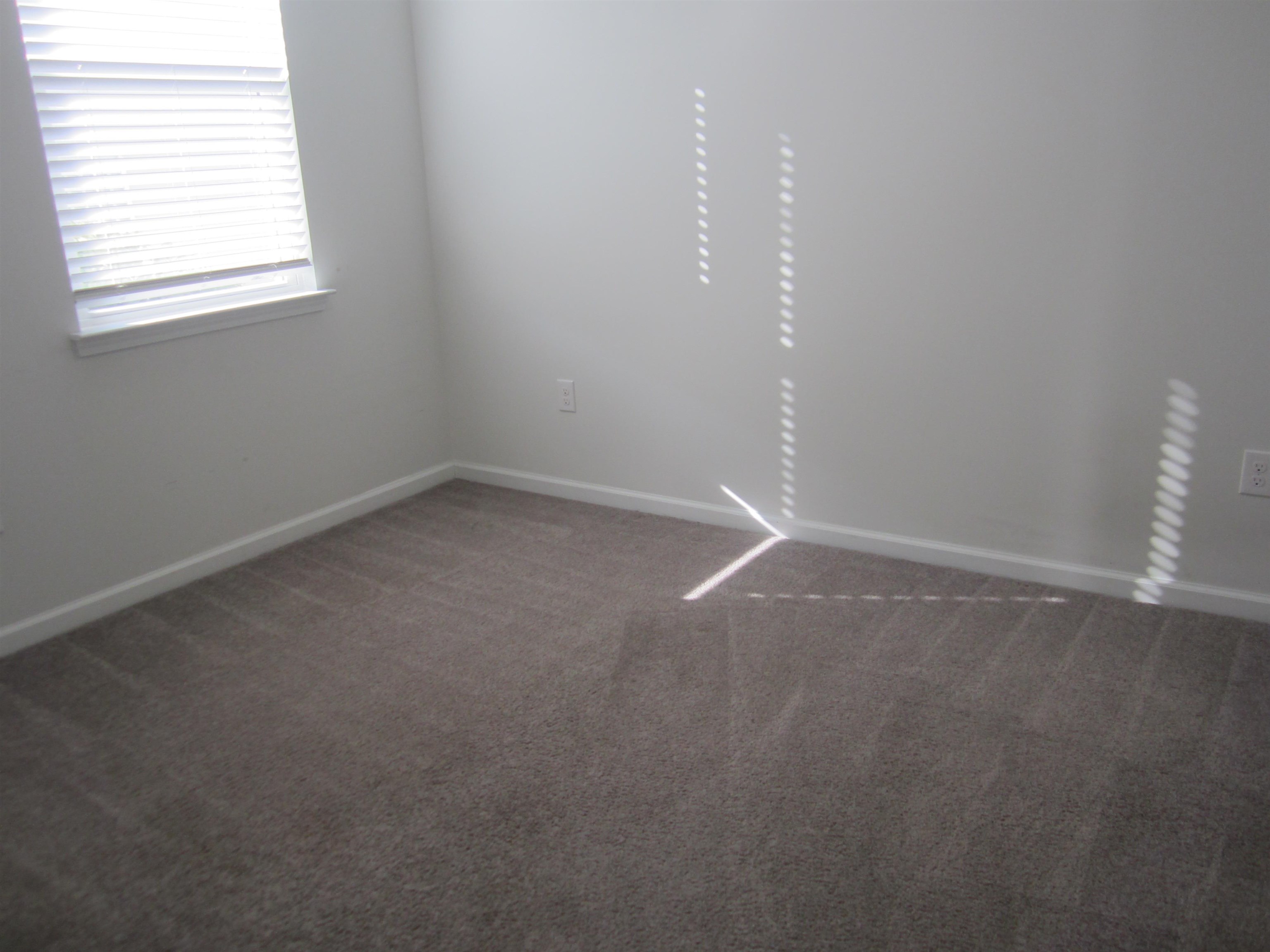 2603534 | Photo 22