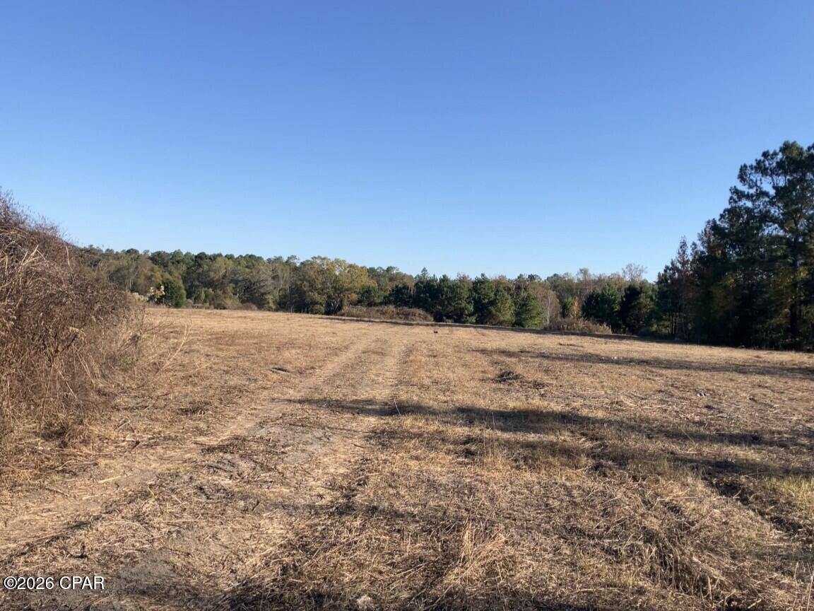 Details for 0 Fl 65  , Hosford, FL 32334