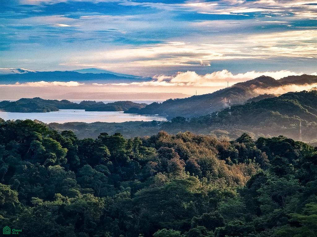  bed Land For Sale in Puntarenas, Puntarenas - 1