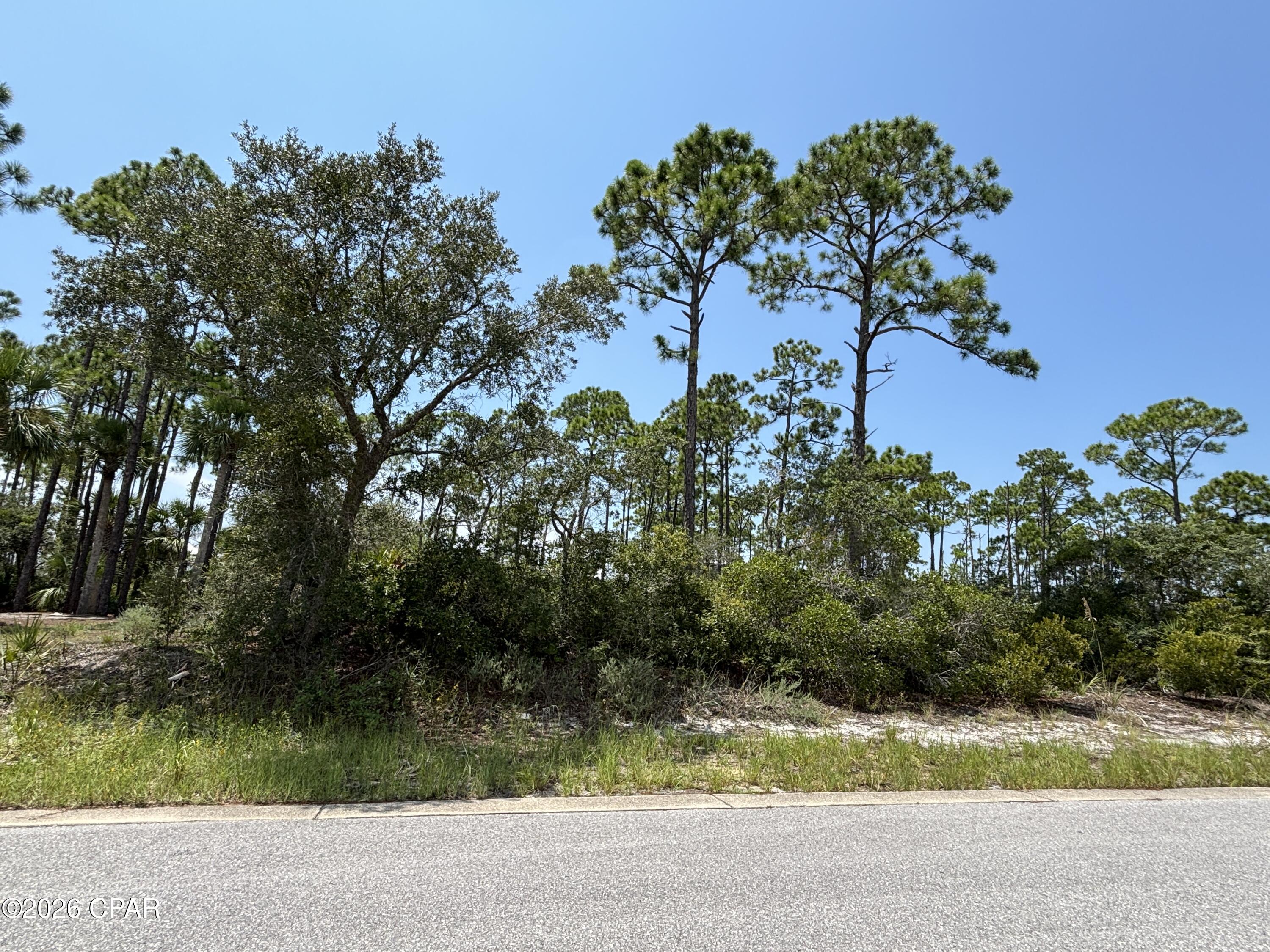 Image 11 For 207 Signal Lane