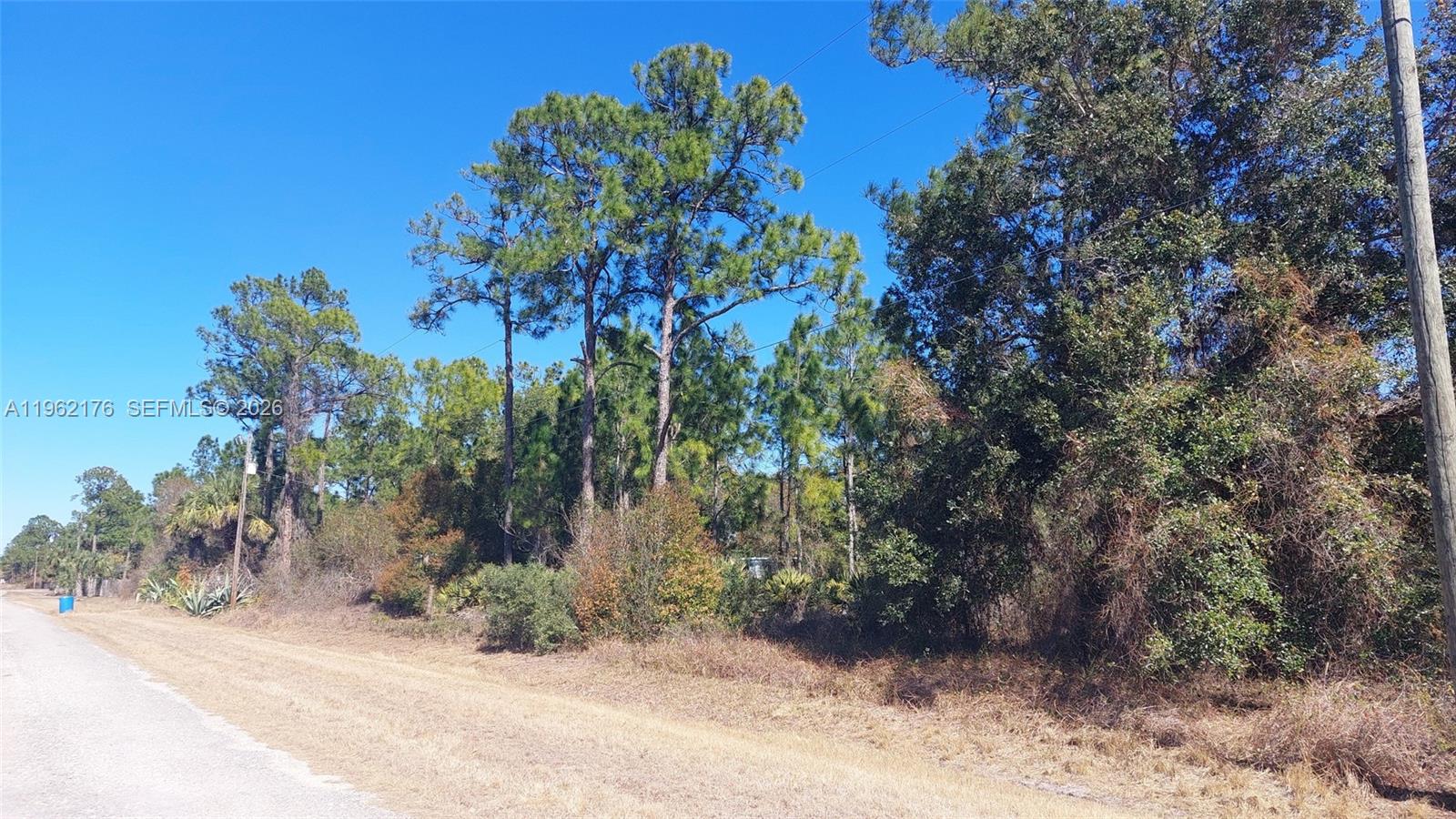 Montura Ranch Estates