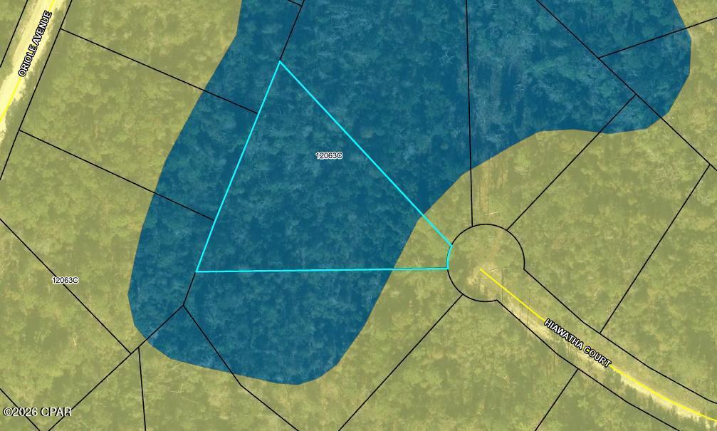 Details for 00 Hiawatha Court, Marianna, FL 32448