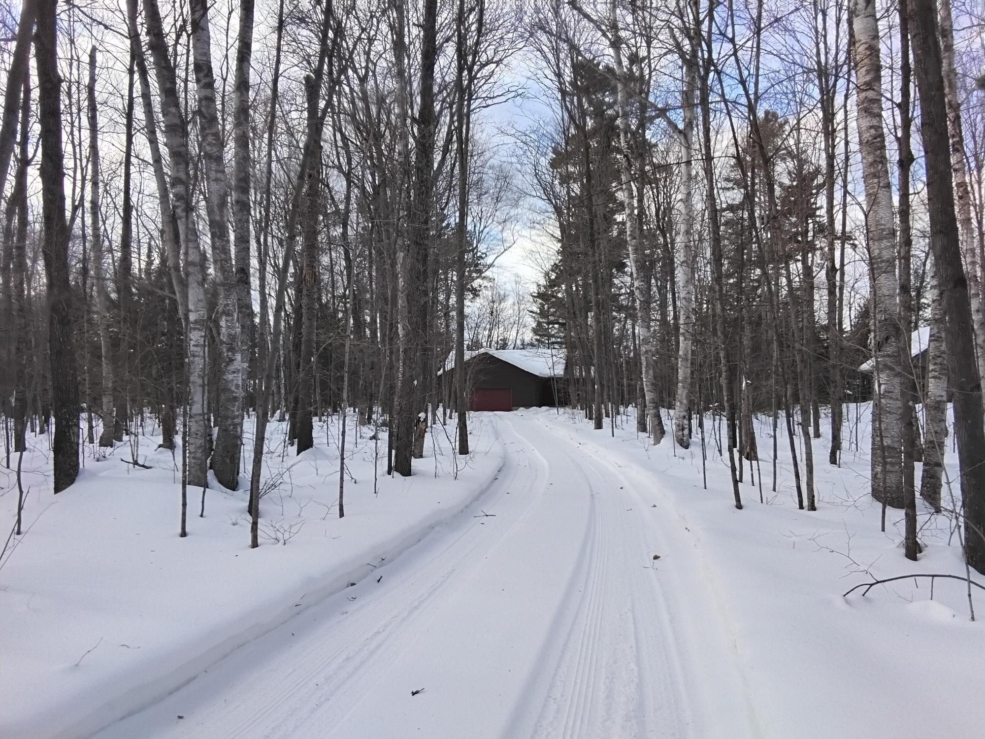 Elsie Lake Property 12605 Elsie Lake Ln Photo 27