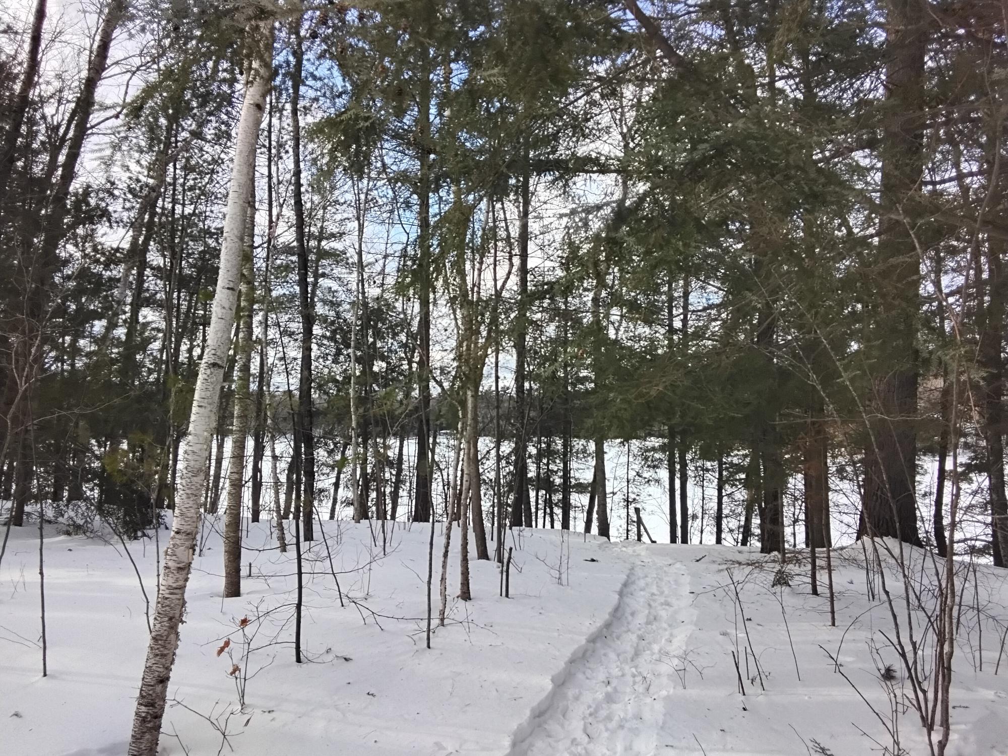 Elsie Lake Property 12605 Elsie Lake Ln Photo 31