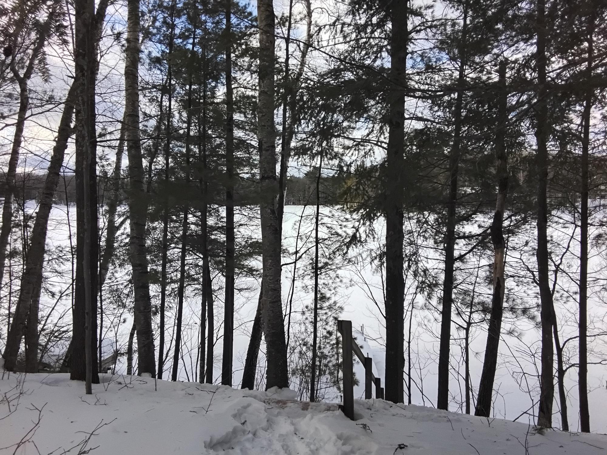 Elsie Lake Property 12605 Elsie Lake Ln Photo 32