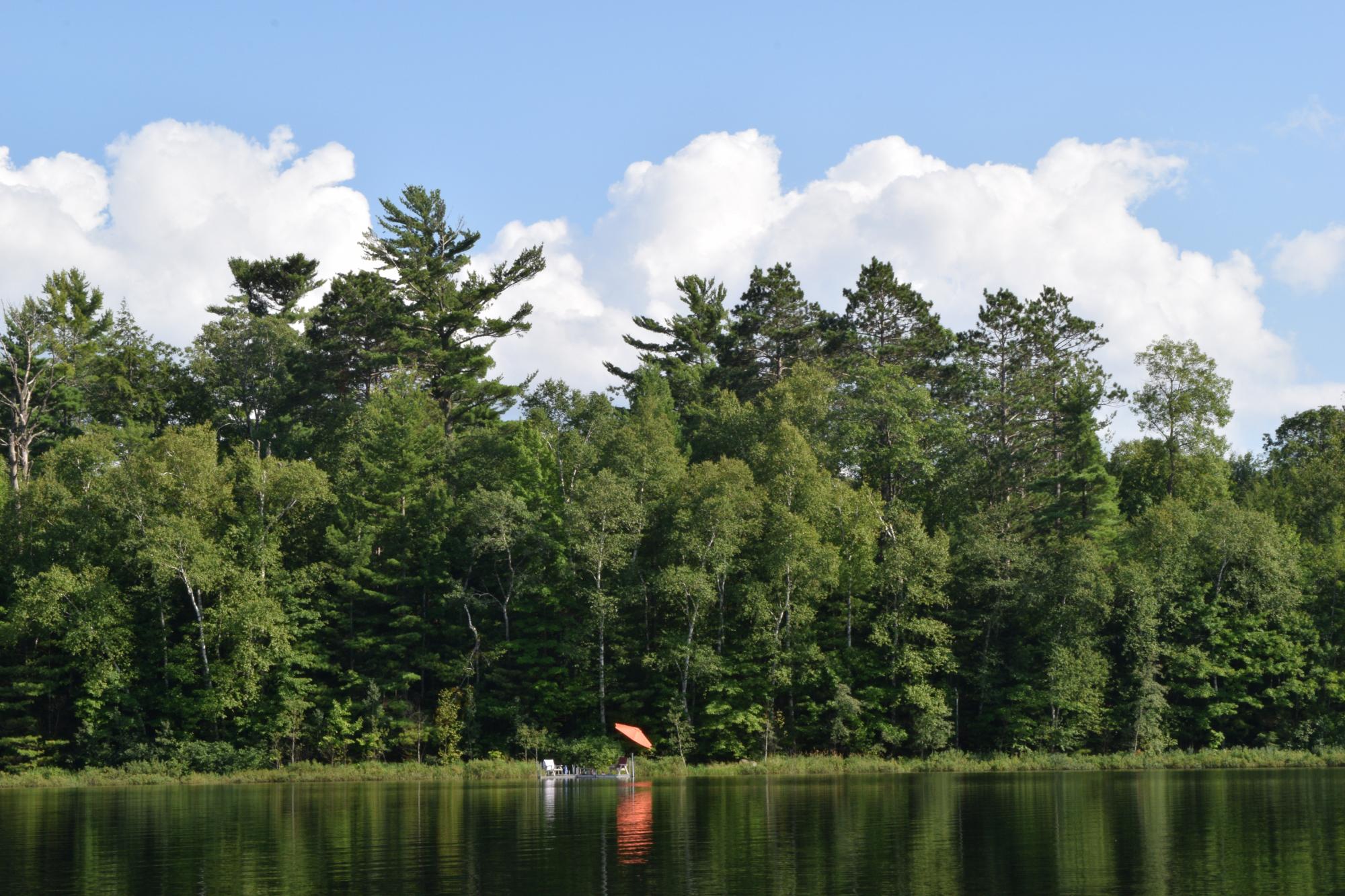 Elsie Lake Property 12605 Elsie Lake Ln Photo 34